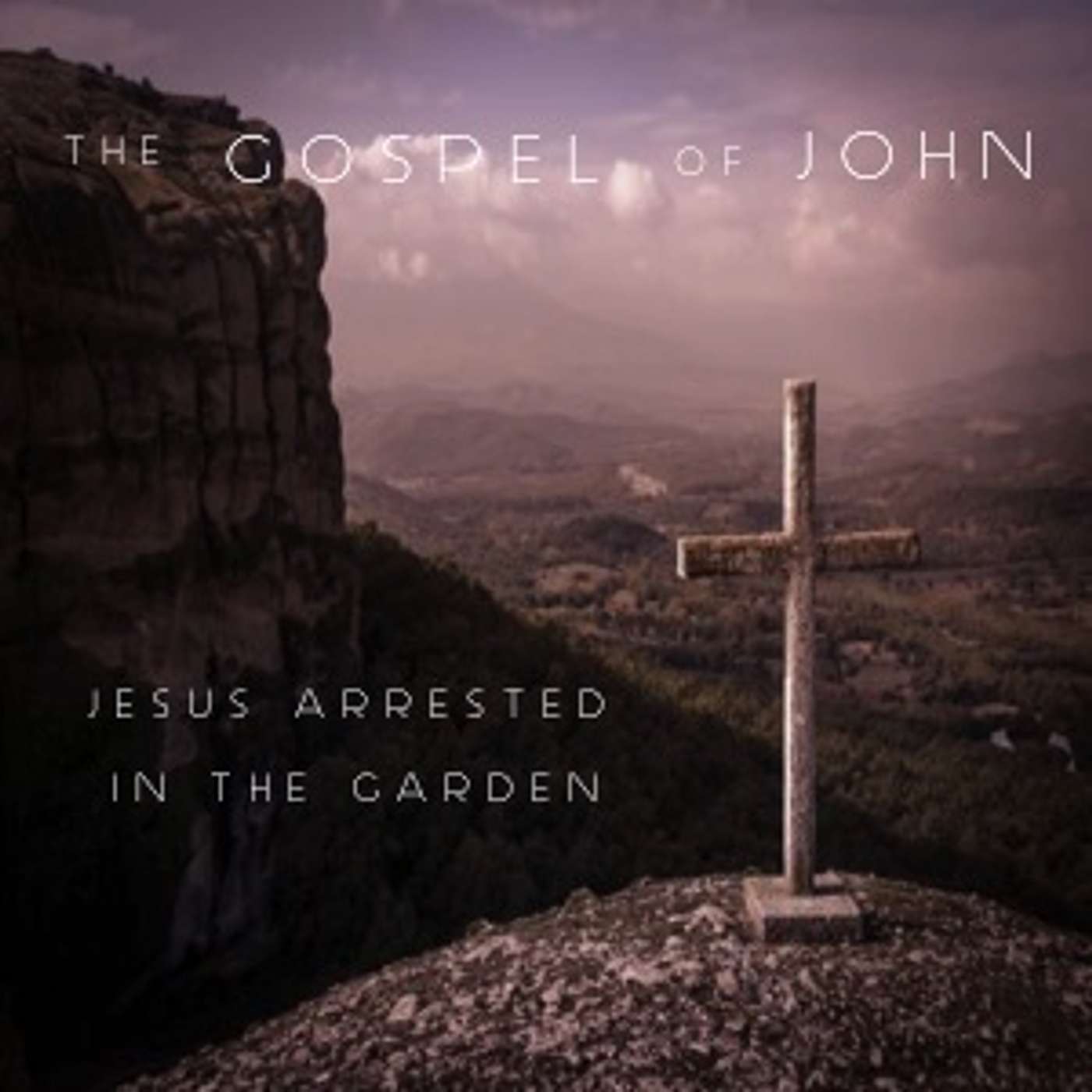 The Gospel Of John (John 18:1-11) - Jesus Arrested In The Garden Part 1 episode artwork