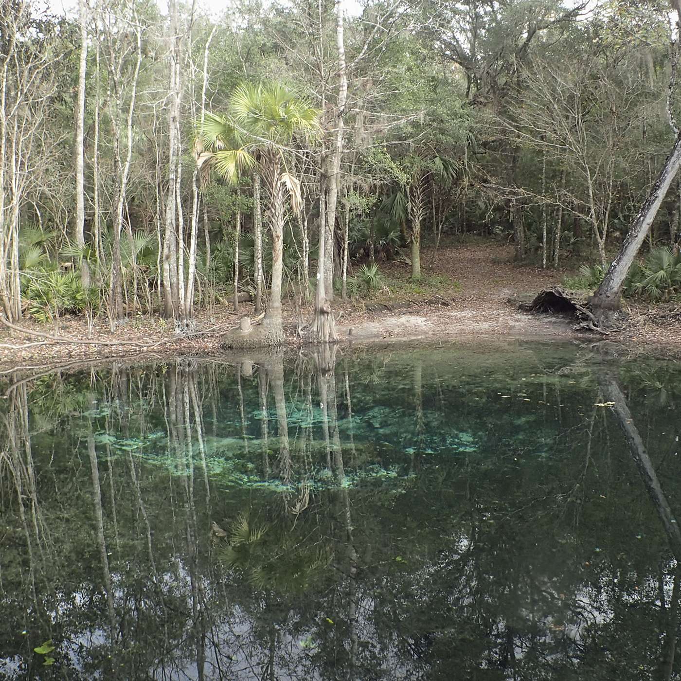 Episode 217: Get Outside! Florida waterways, Lars Andersen, and the Ocklawaha