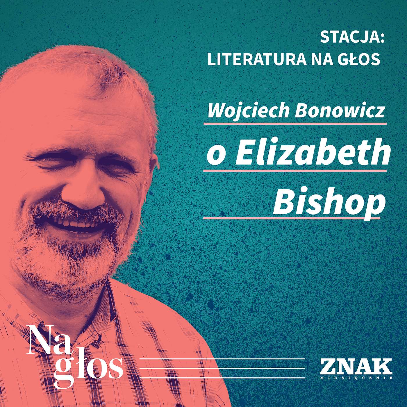 Znak na głos
