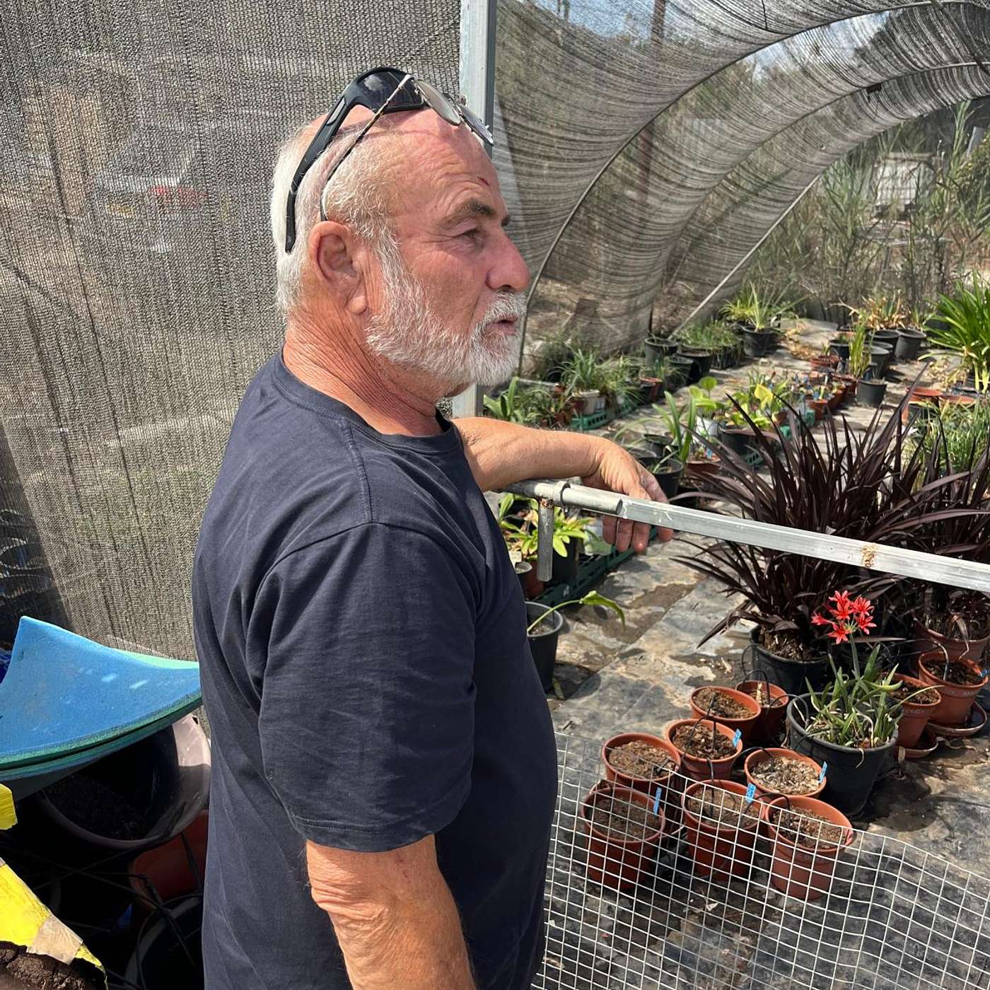 שלומי סגל – מגדל גיאופיטים