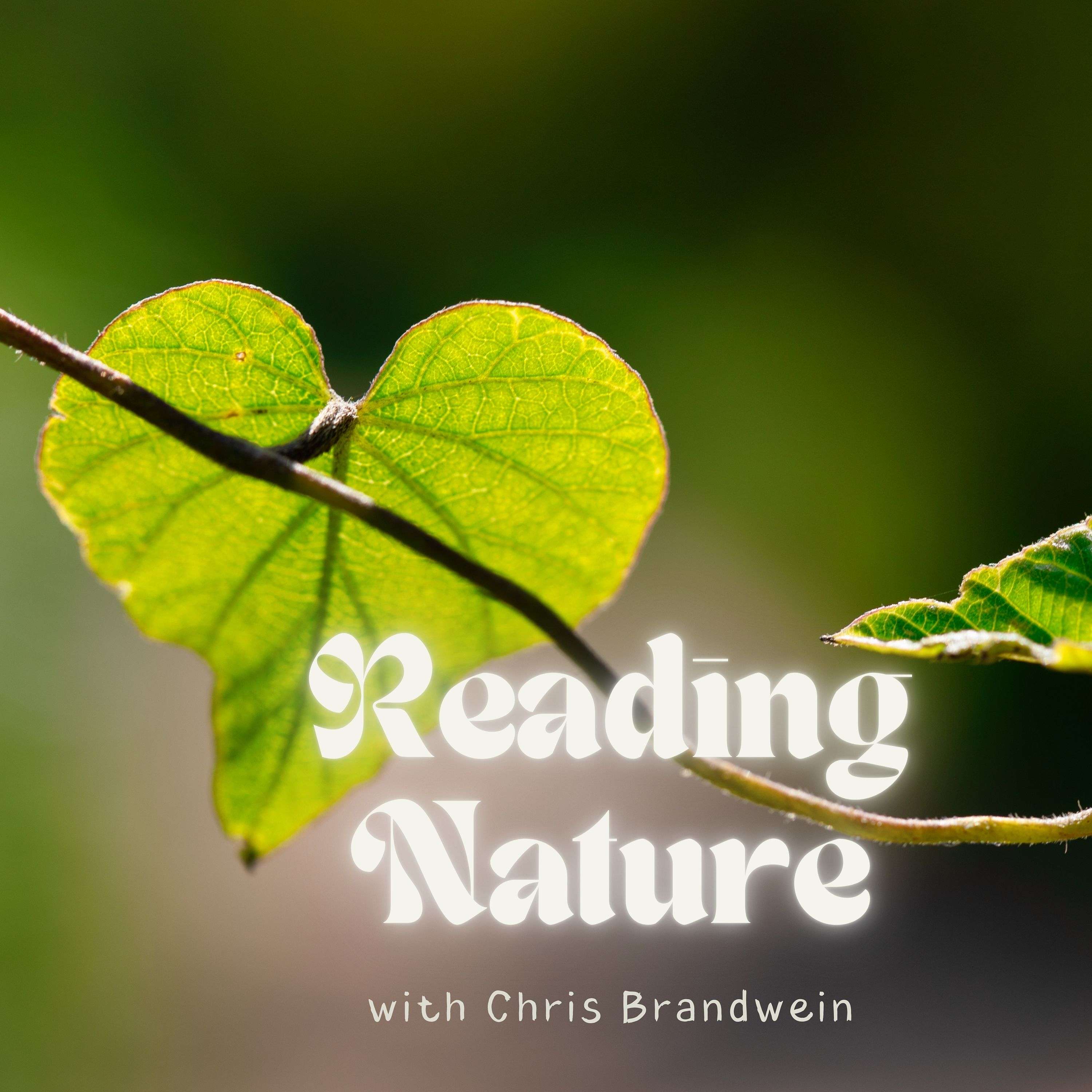 Reading Nature with Chris podcast artwork