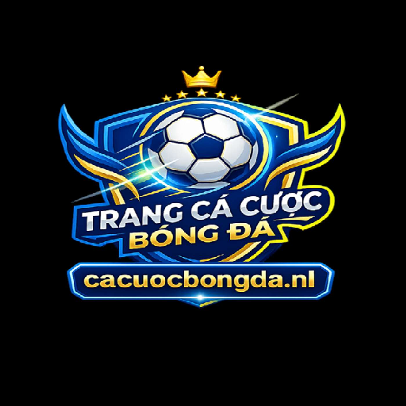 cacuocbongdanl
