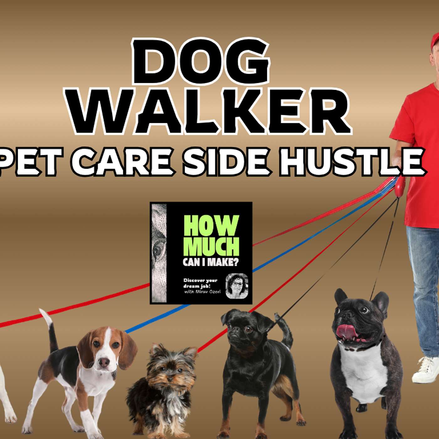 How to Become a Dog Walker: Not Your Typical Walk in the Park