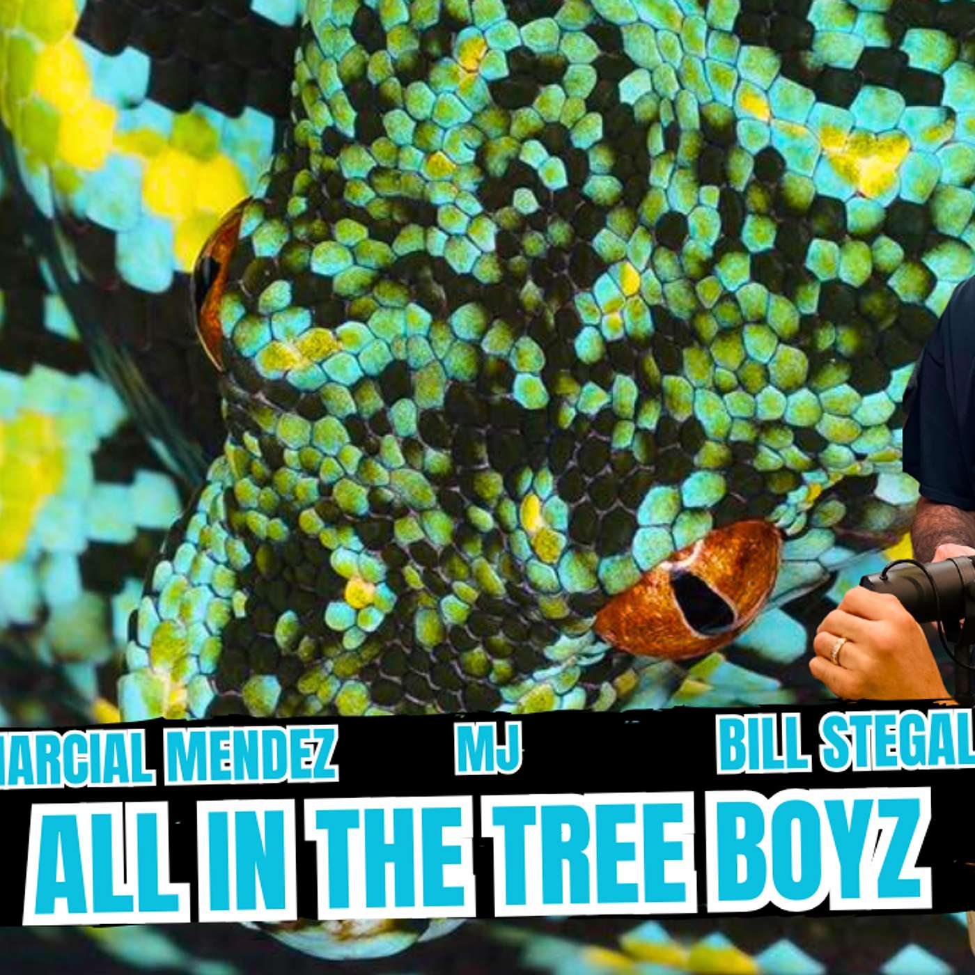 Dropping 3 Chondro Clutches Within 48 hours | All In The Tree Tuesday Live