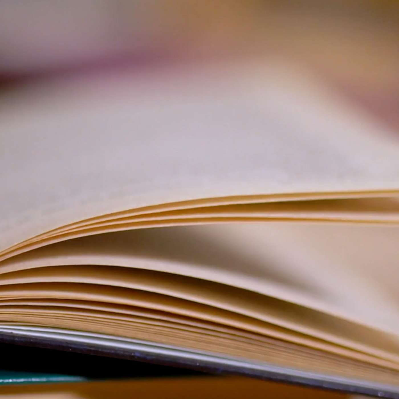 The Dolores Public Library Hosts Christmas Crafts and Competitions The Dolores Public Library Hosts Christmas Crafts and Competitions