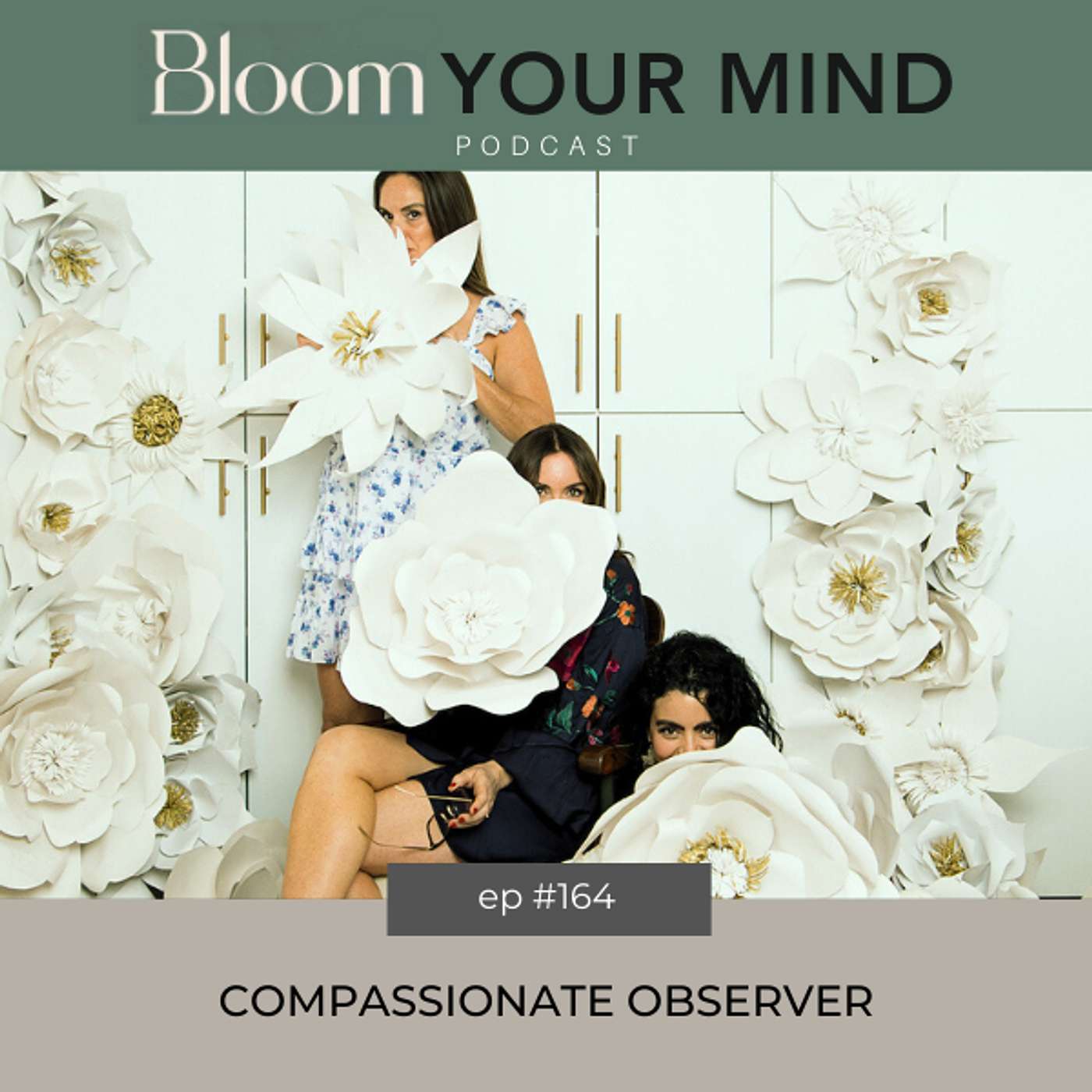 Ep 164: Compassionate Observer