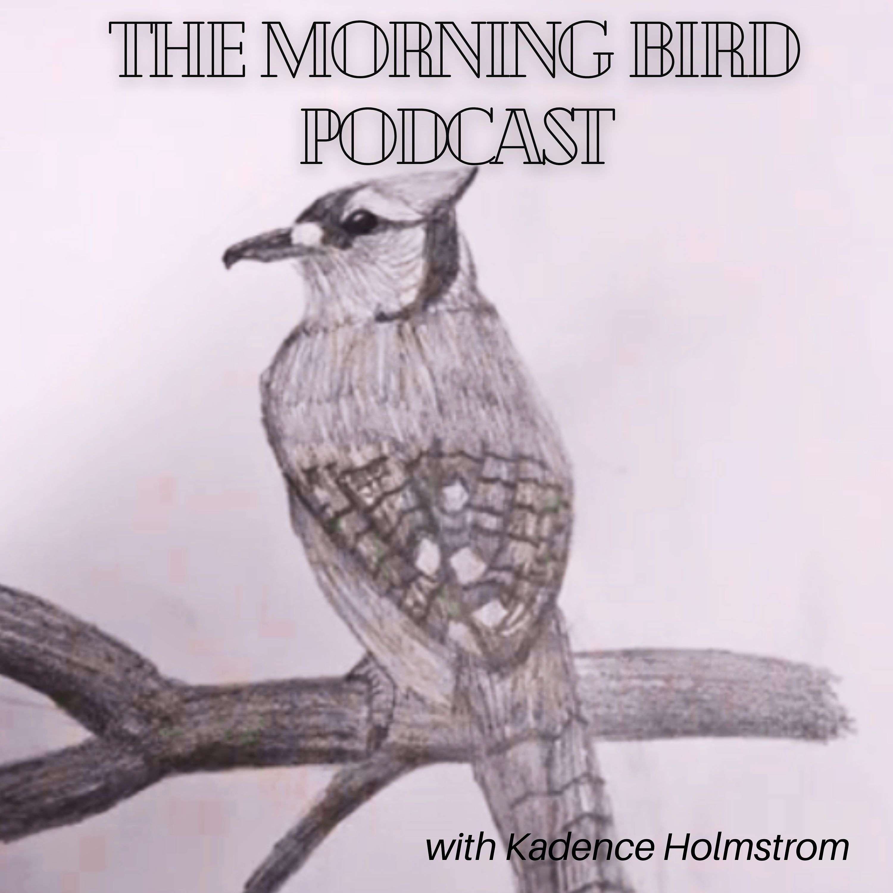 The Morning Bird Podcast