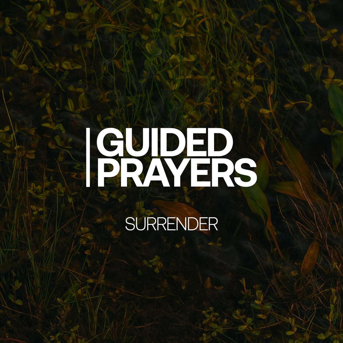 Asking God for Guidance When We Need it Most | Guided Prayers episode artwork