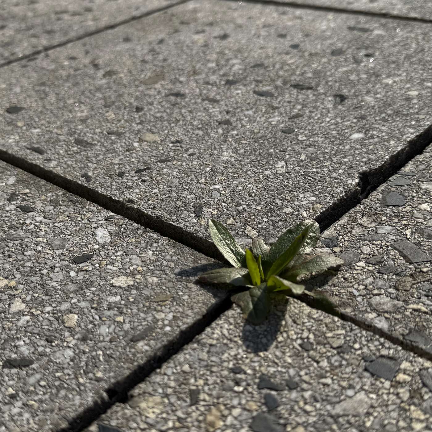 O potenciálu, okamžitém zlepšení a dlouhodobém zlepšování