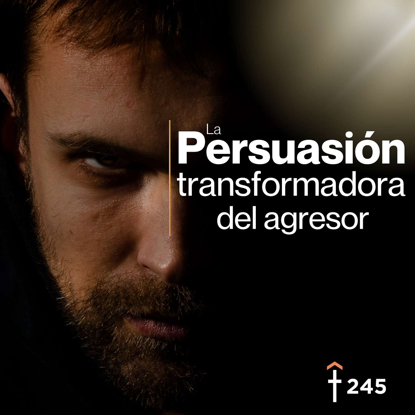 #245 - La persuasión transformadora para el agresor