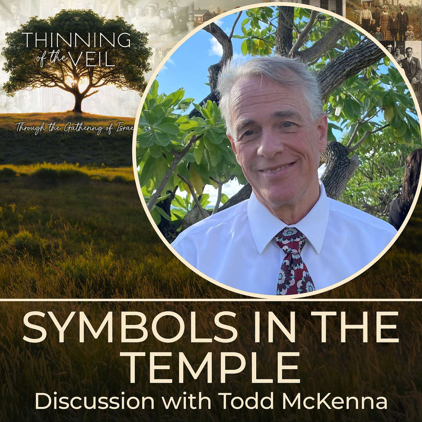 SYMBOLS IN THE TEMPLE: Discussion with Todd McKenna episode artwork