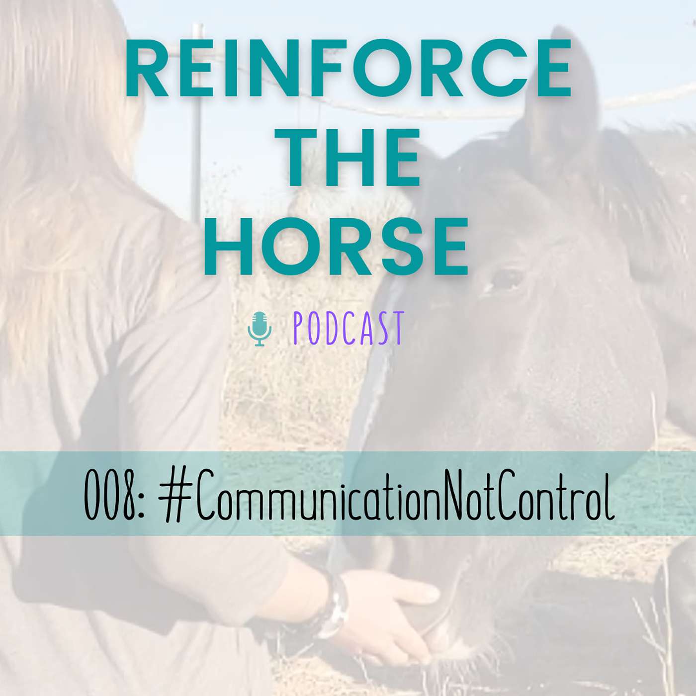 Reinforce the Horse