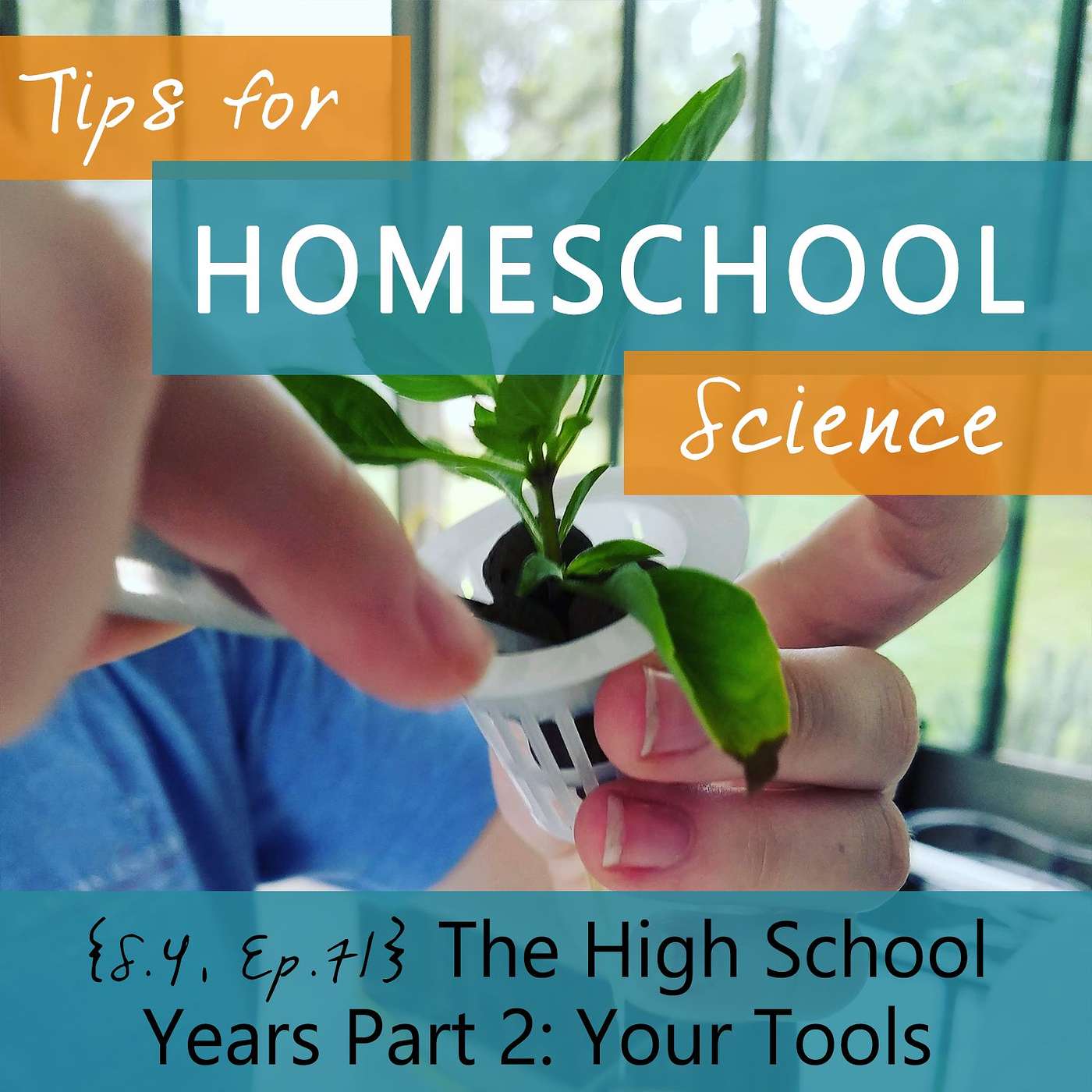 Tips for Homeschool Science Podcast from Elemental Science