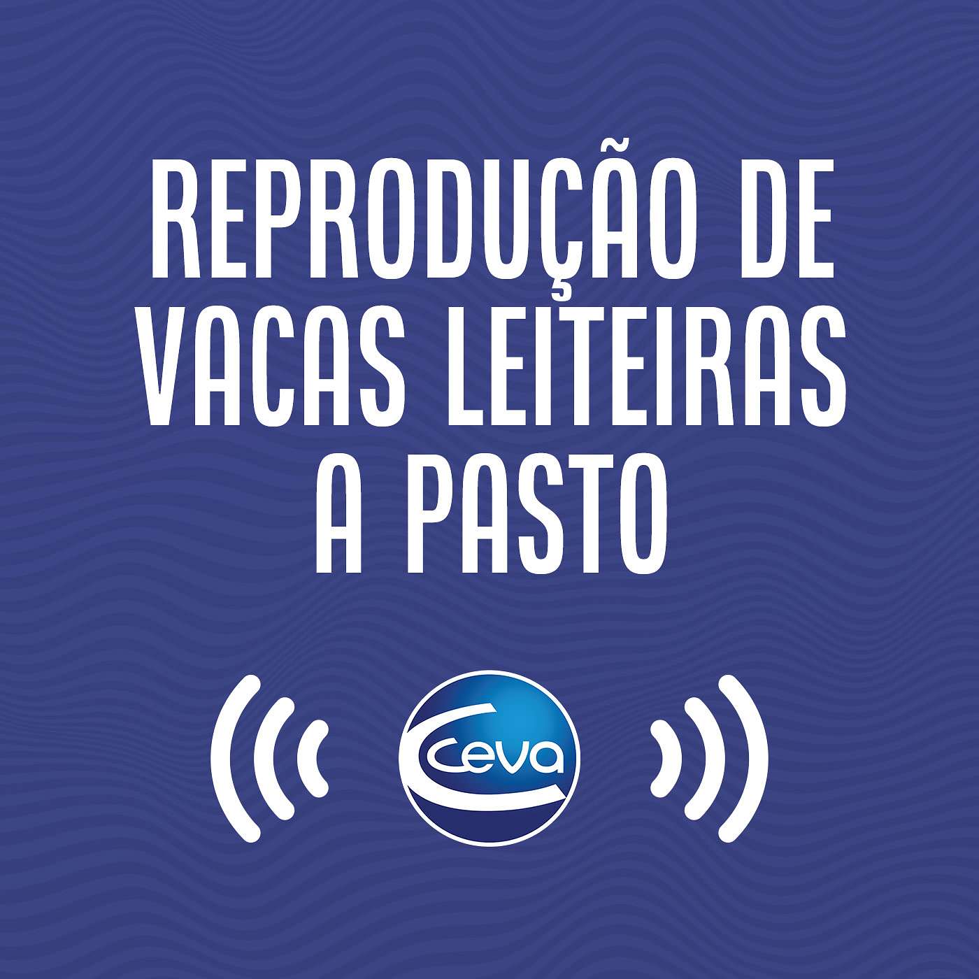 Reprodução de vacas leiteiras a pasto #01 episode artwork