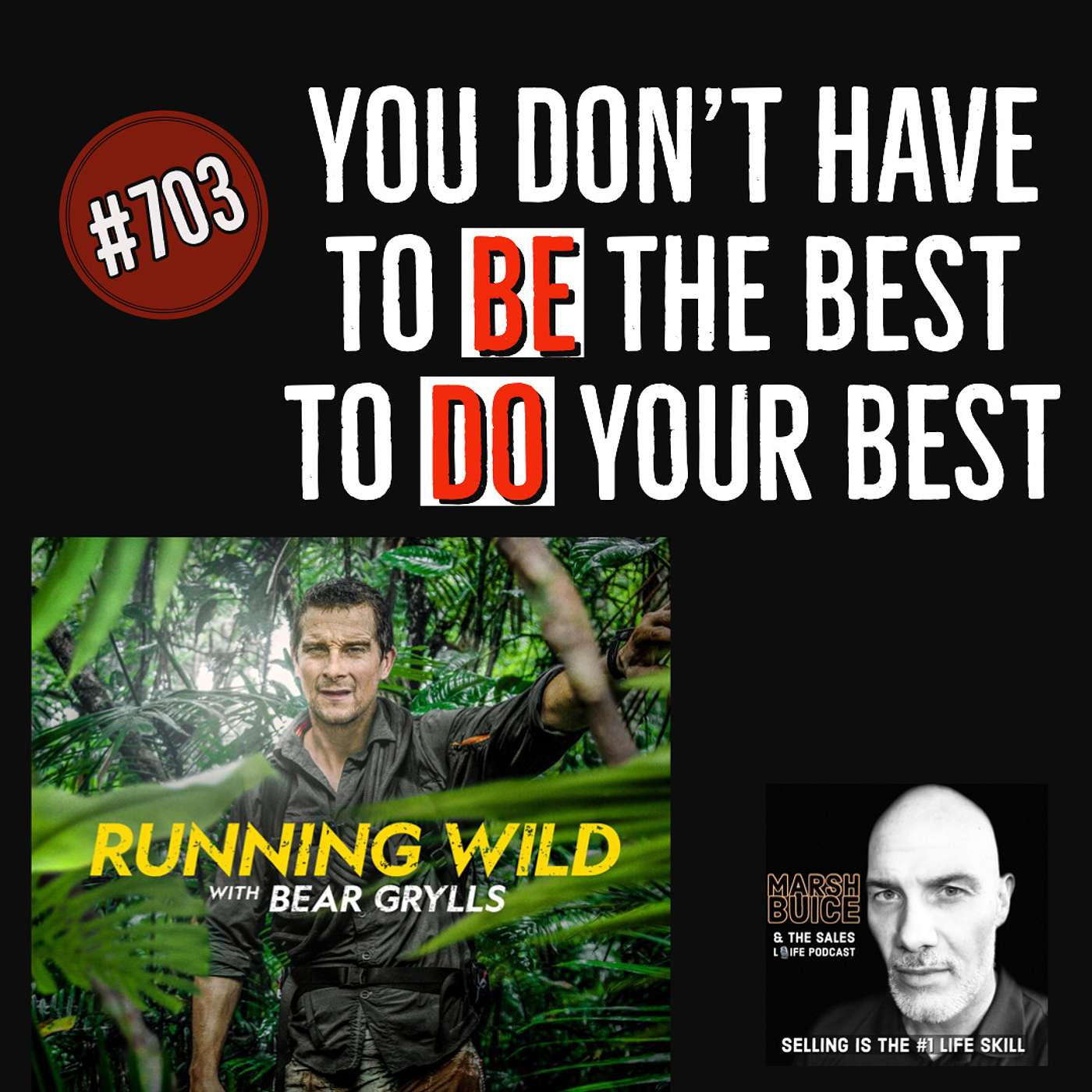 703. "You don't have to BE the best to DO your best." | Evolve & never grow complacent.