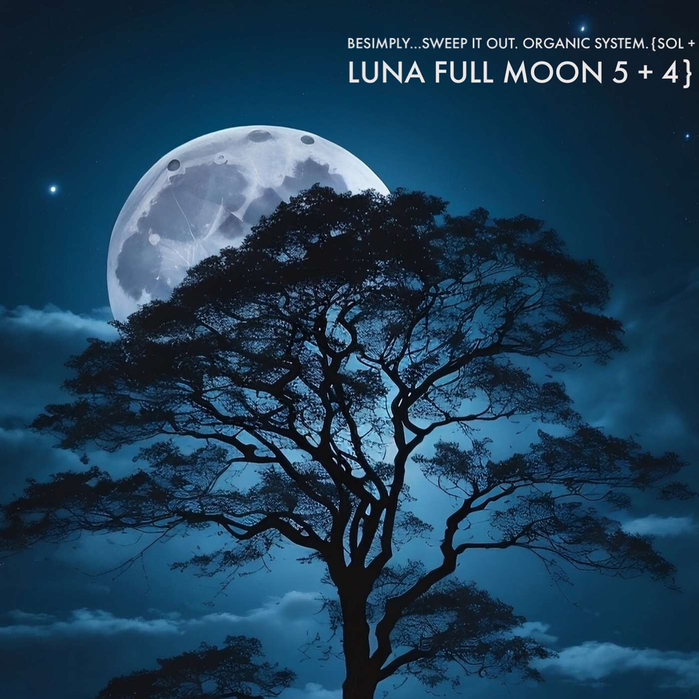 BeSimply...Sweep It Out. Organic System.{Sol + Luna New Moon 5 +4}