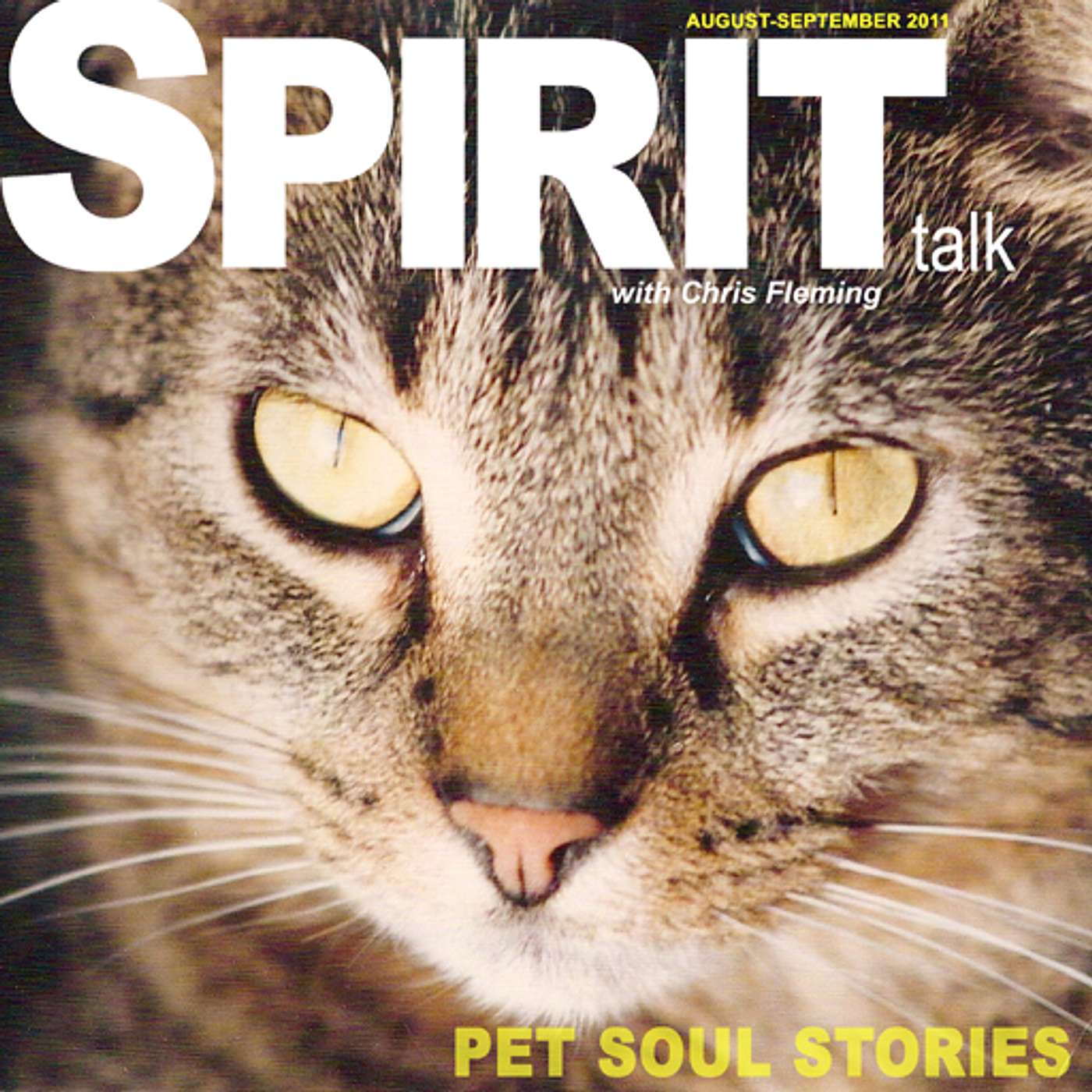 #27 - Pet Soul Stories: Is there Life After Death for Animals? episode artwork