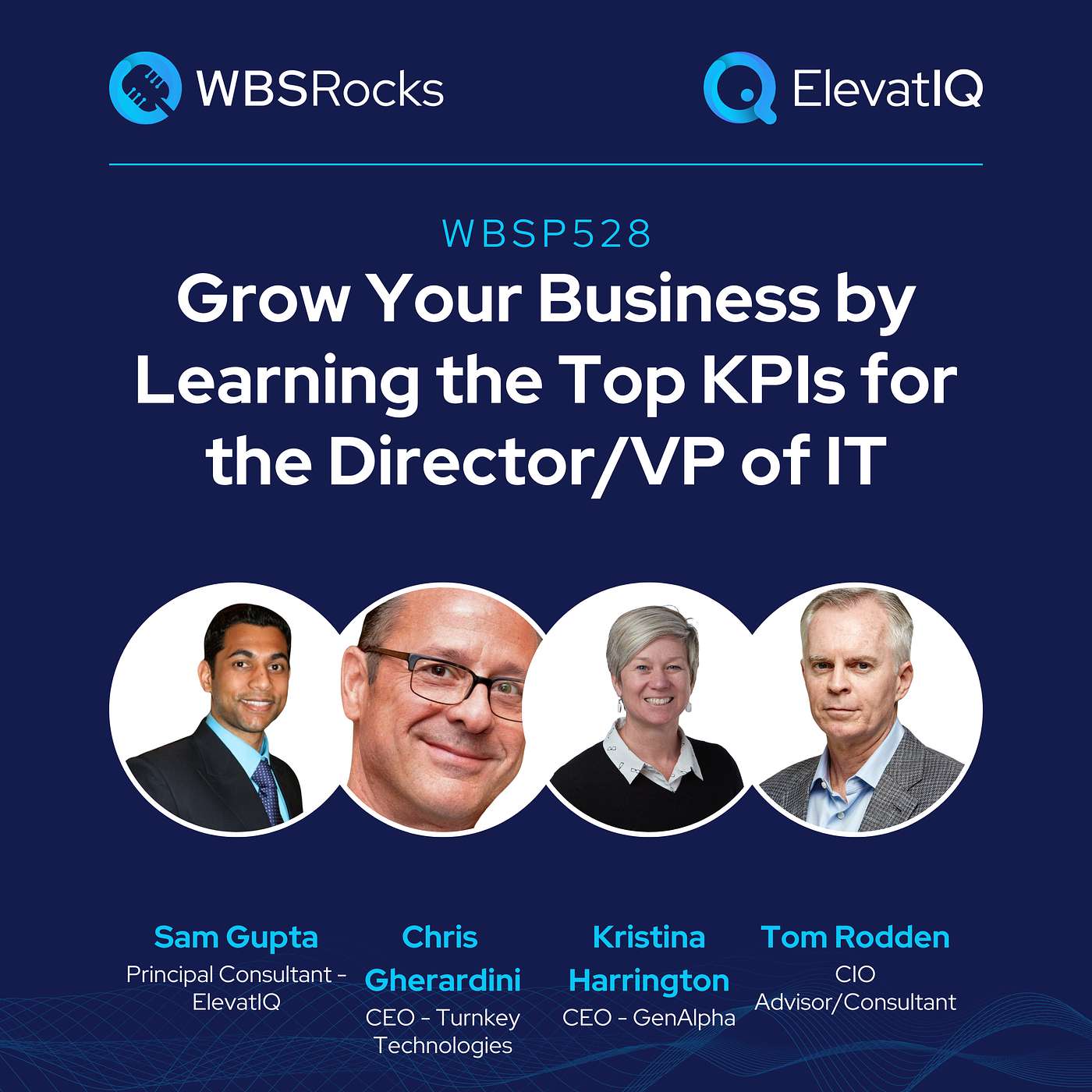 WBSP528: Grow Your Business by Learning the Top KPIs for the Director/VP of IT, a Live Interview w/ a Panel of Experts