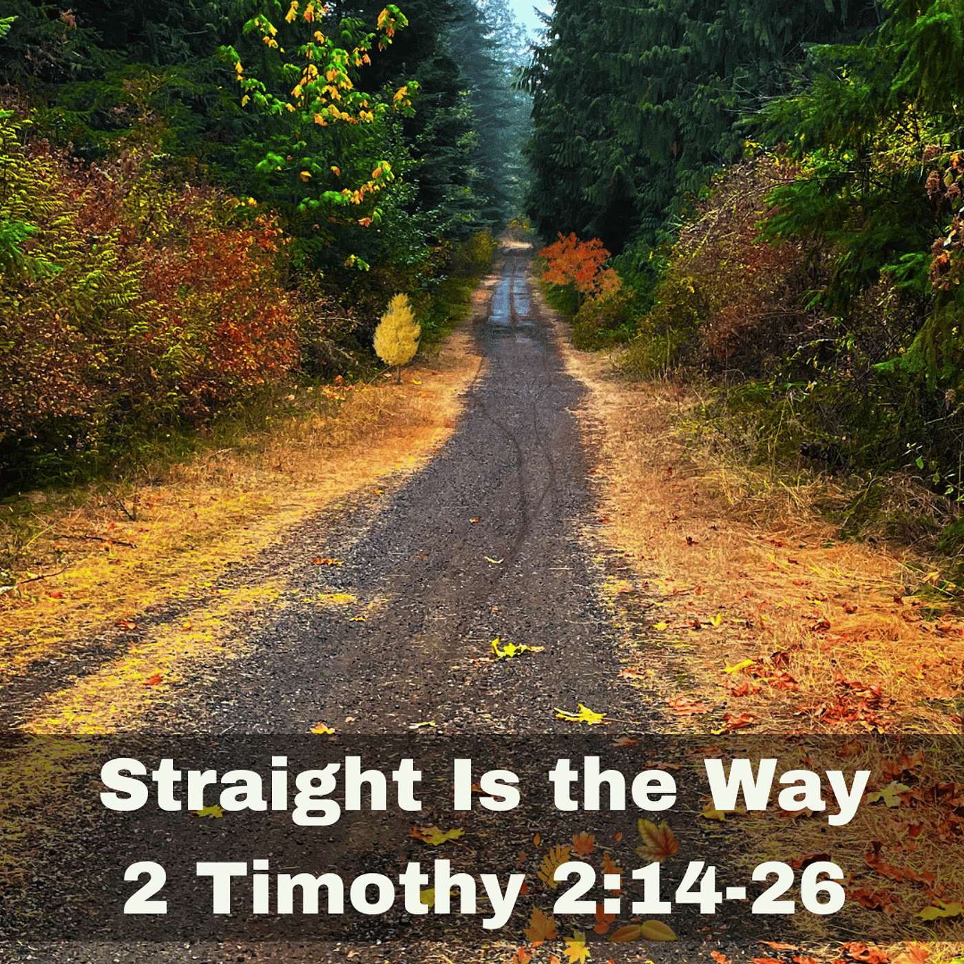 "Straight Is the Way" 2 Timothy 2:14-26