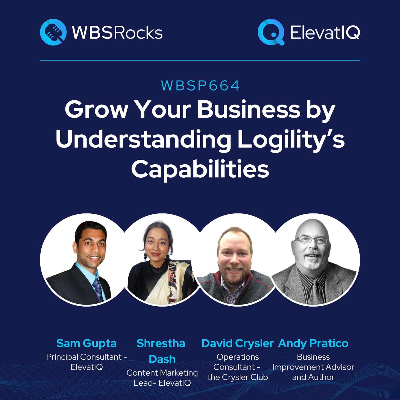 WBSP664: Grow Your Business by Understanding Logility’s Capabilities, an Objective Panel Discussion