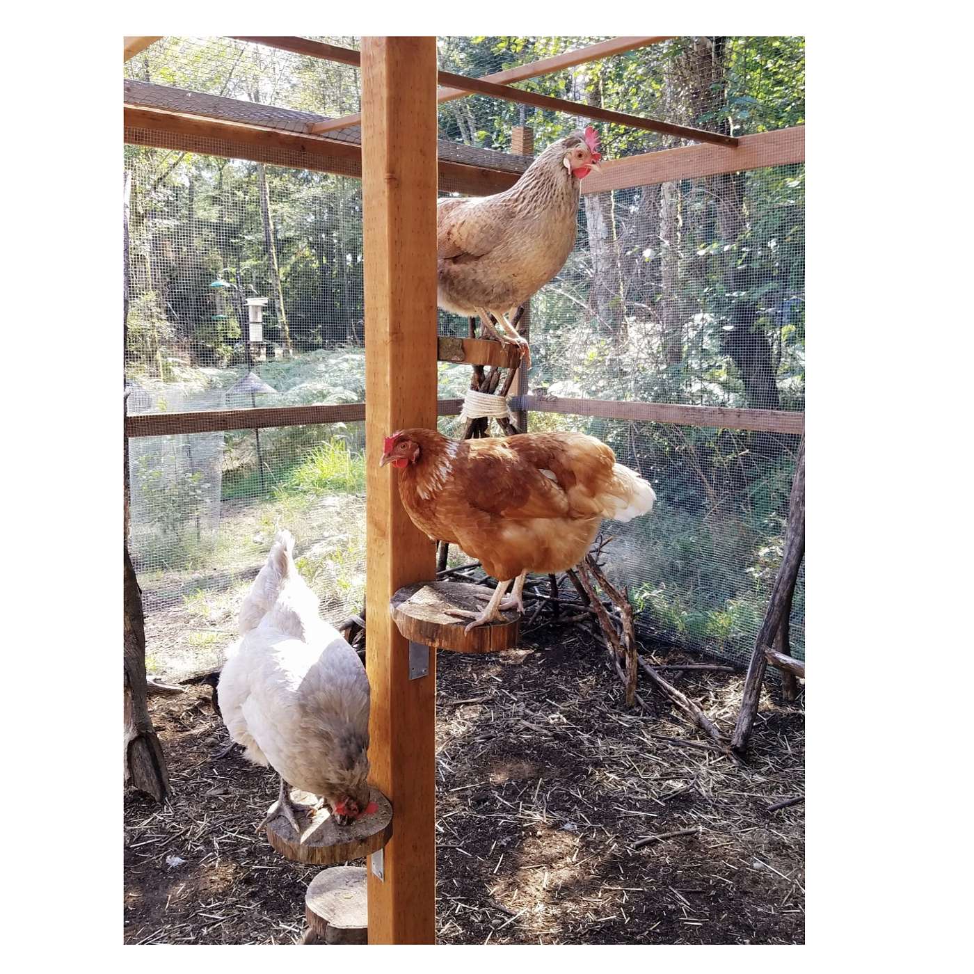 Tuesday, January 28, 2025 - ALL RISE! because, um, ALL RISE is in the grid 🙄😉