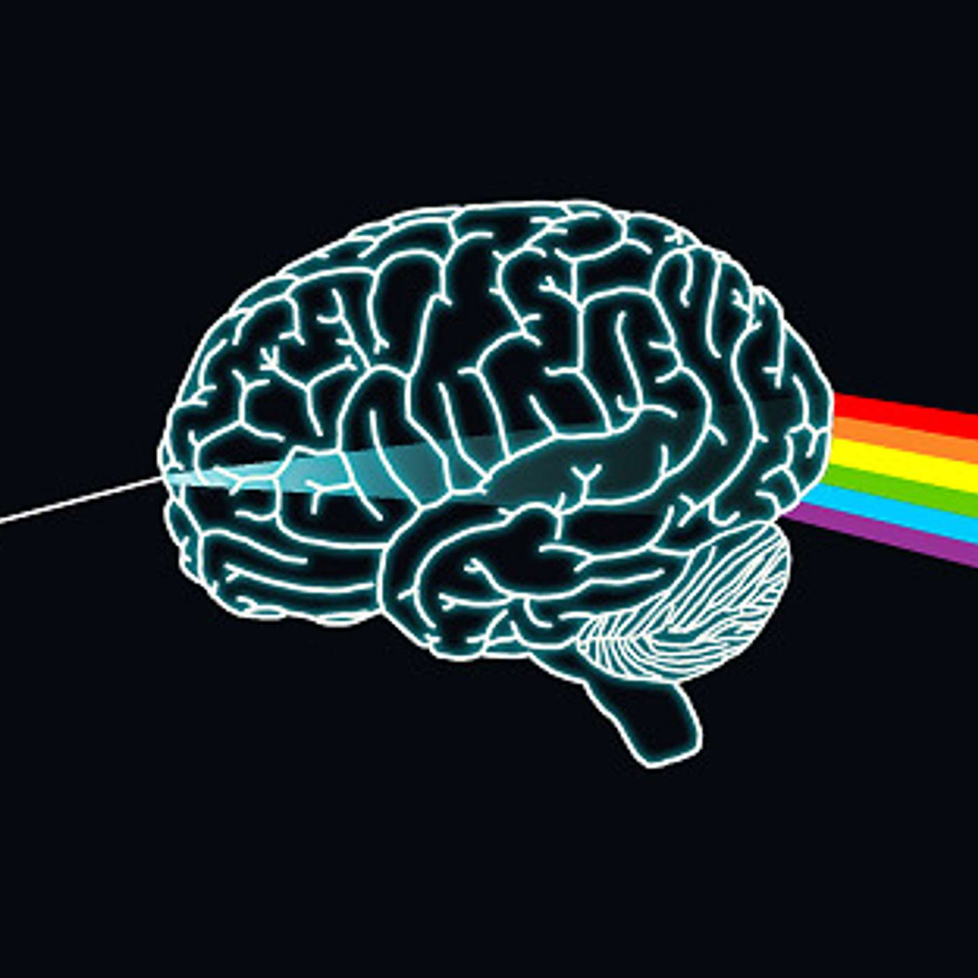 The Psychology of Music