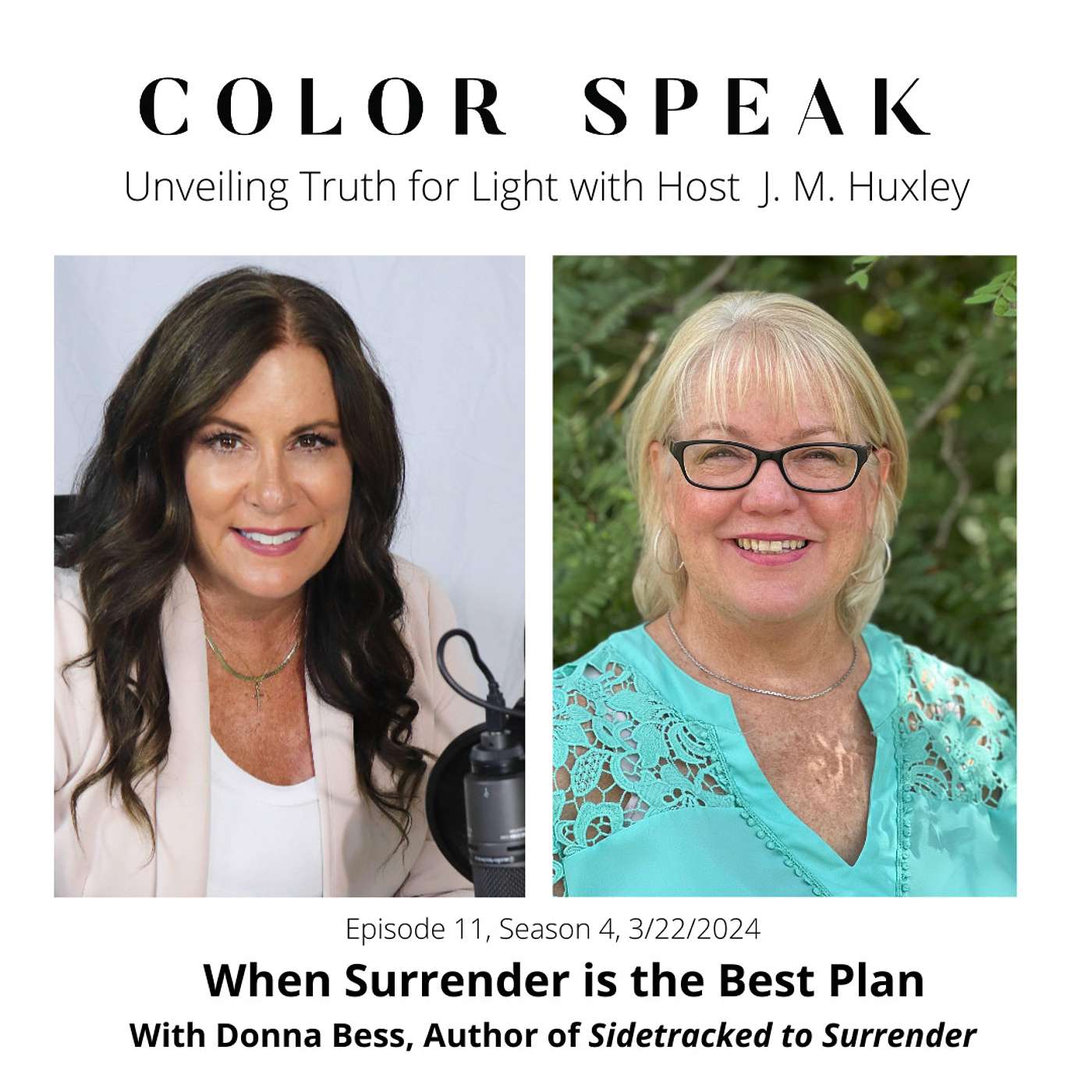 Color Speak, Season 4, Episode 11, When Surrender is the Best Plan with Author Dona Bess episode artwork