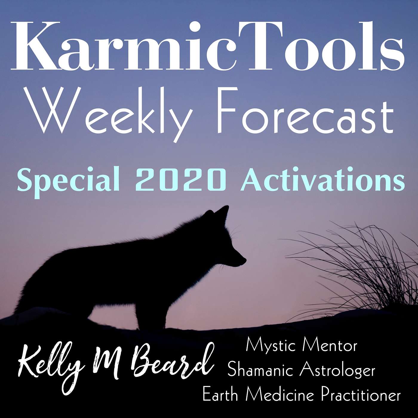 KarmicTools Forecast • Monthly Podcast
