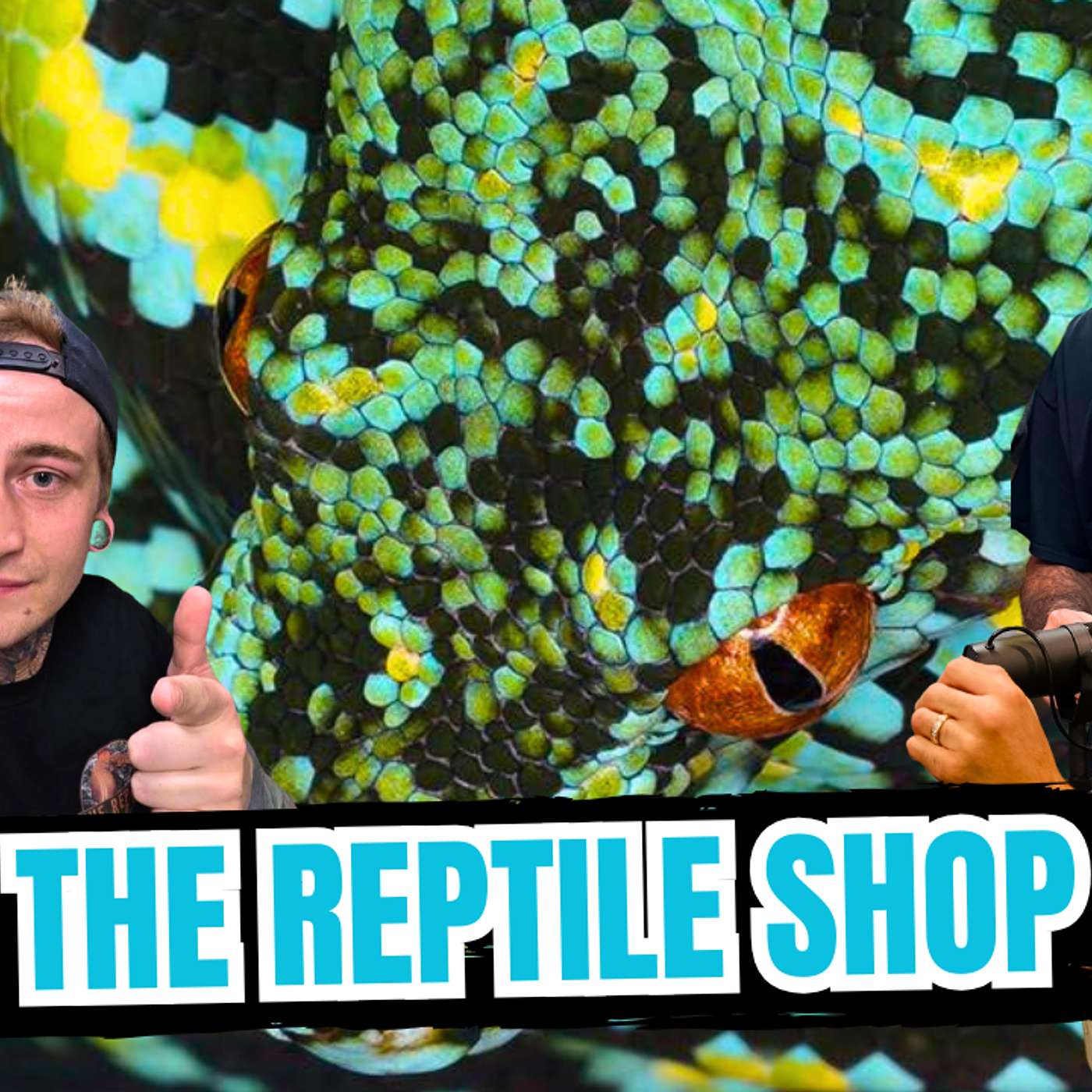 Successfully Breeding Green Tree Pythons & Other Rare Reptiles In Canada | All In The Tree Tuesday