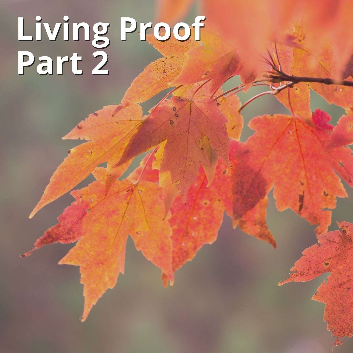 Disciple Making