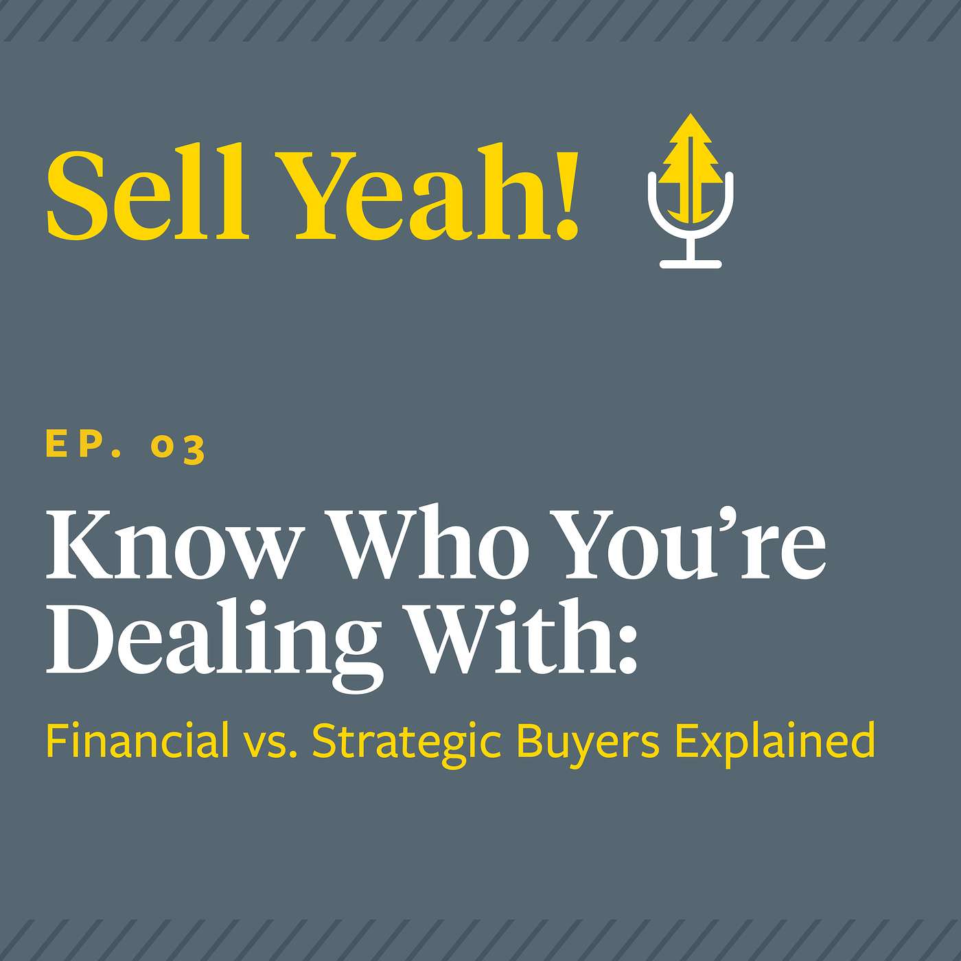 Know Who You’re Dealing With: Financial vs. Strategic Buyers Explained episode artwork