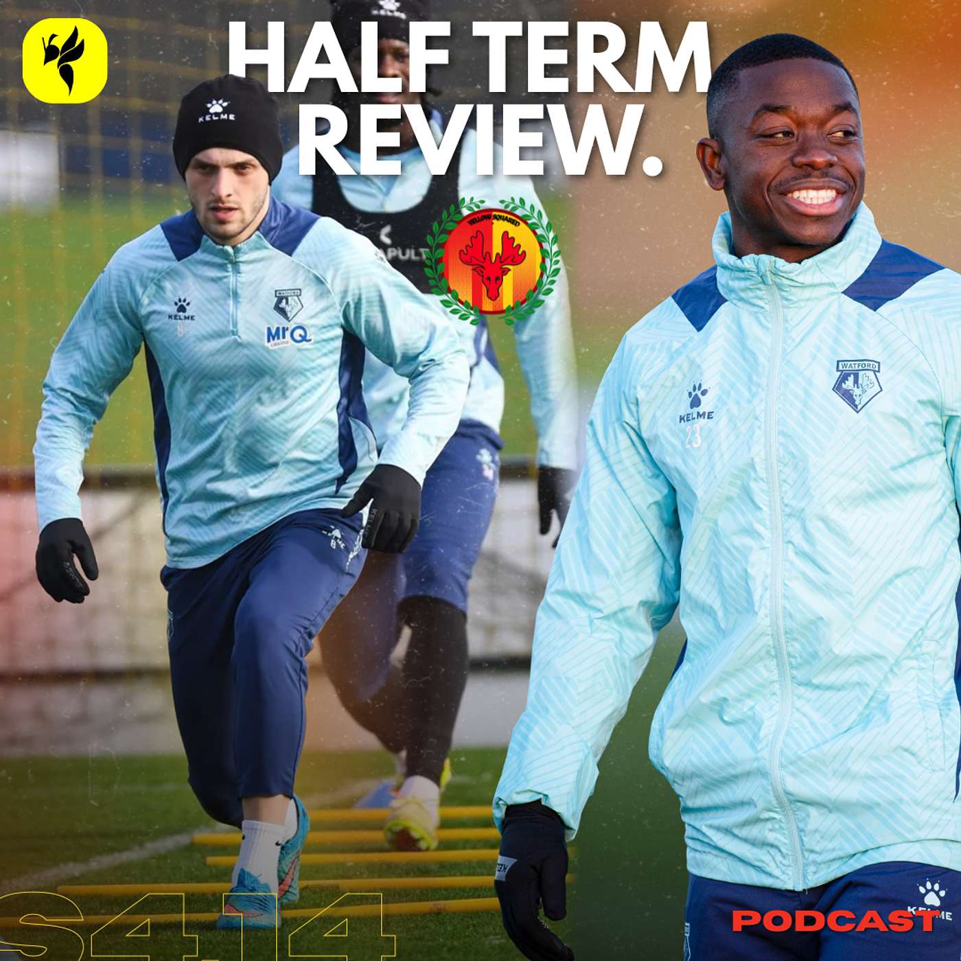 The half term report, Chakvetadze to return & football Tenable with @Thewatfordway