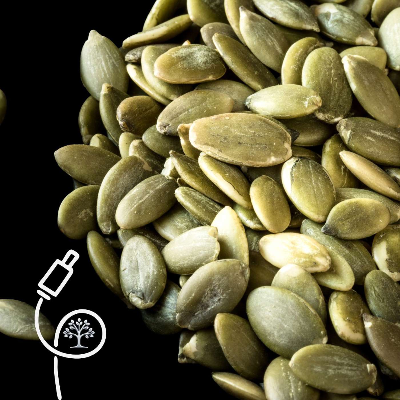 Pumpkin Seed Protein — Quietly Useful, Rarely Magical