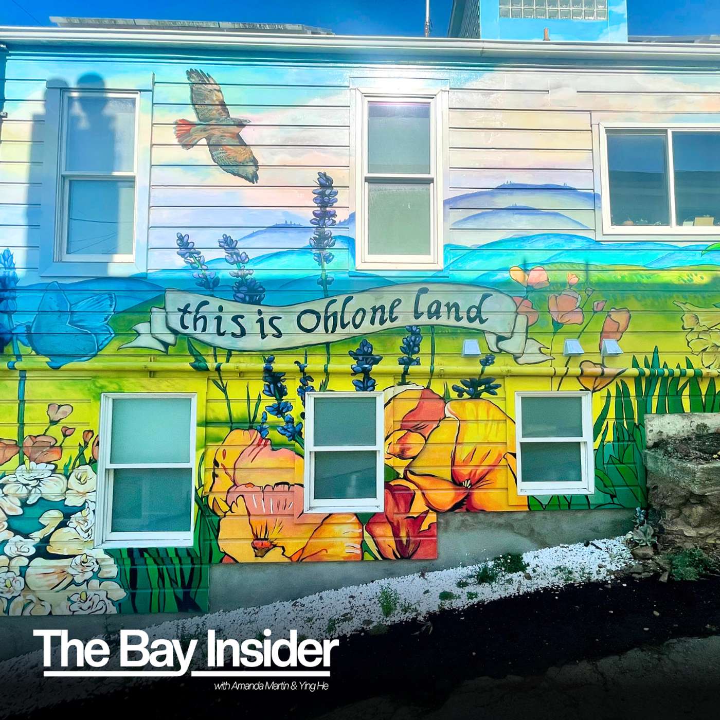 The Bay Insider