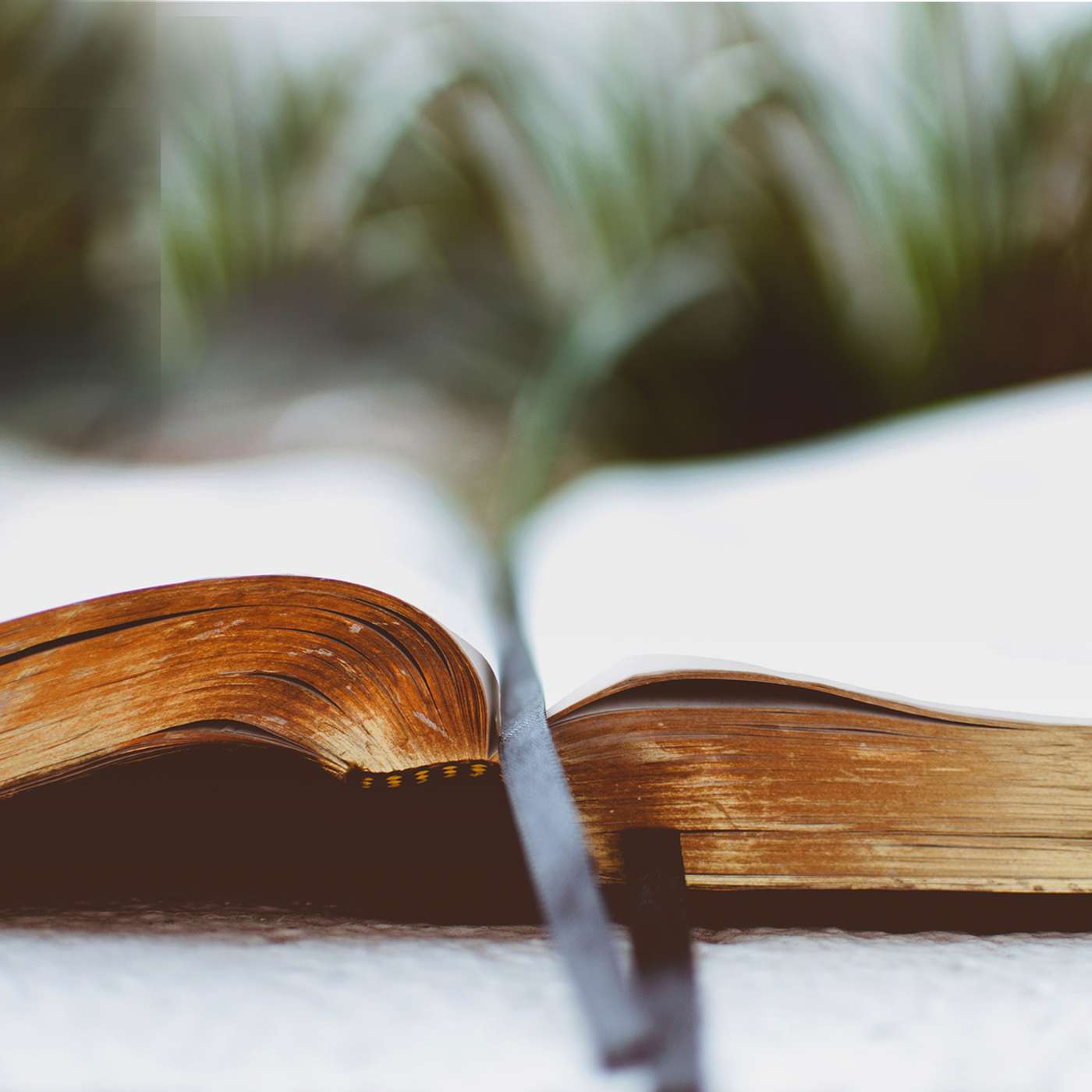 1 Corinthians: Men, Women and Created Order