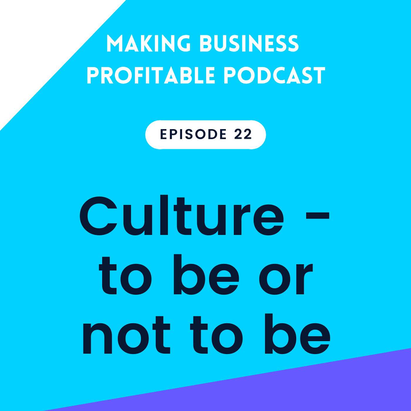 Episode 22 - Culture - to be or not to be