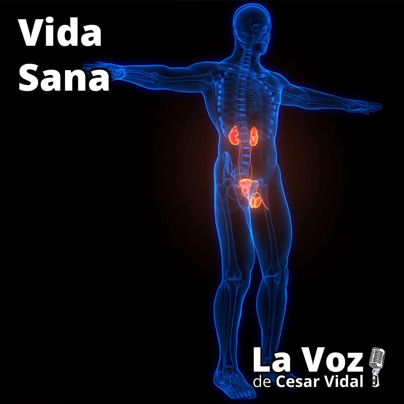 Vida Sana: La salud de su próstata (2) - 01/10/25