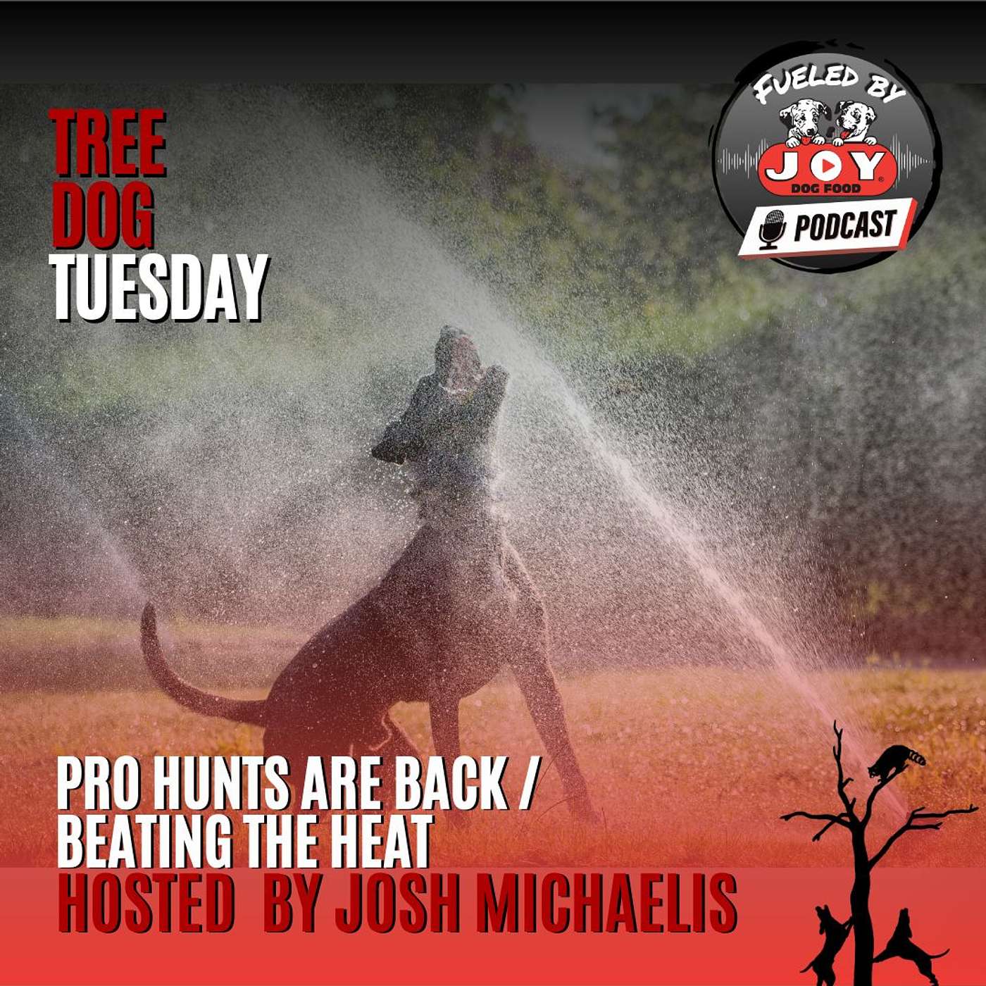 Tree Dog Tuesday: Pro Hunts are Back! episode artwork