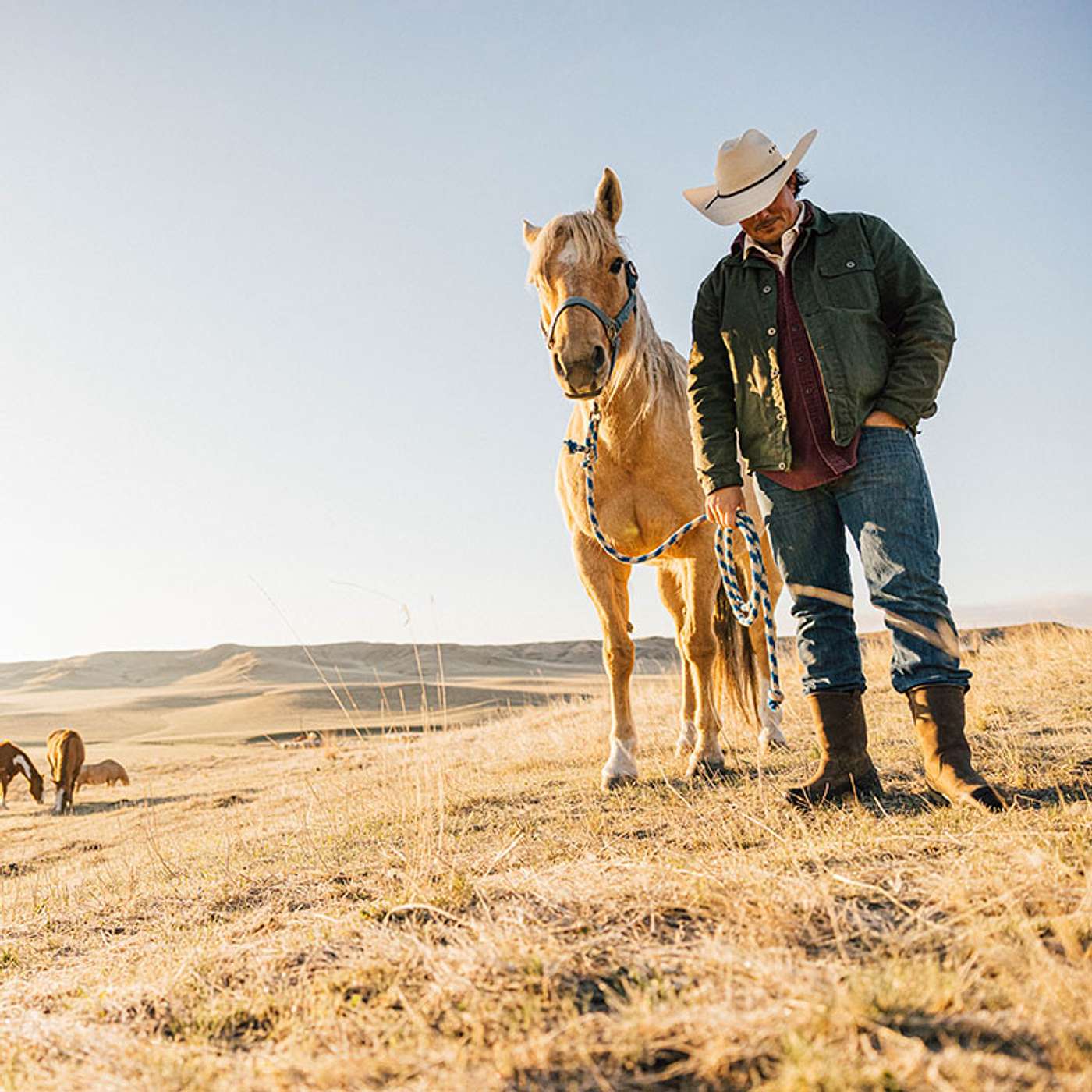 Live Music, Montana Beef and Going Back Home with Jason Wickens