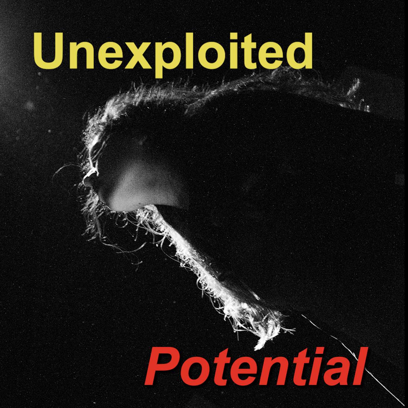 Unexploited Potential: Imagination episode artwork