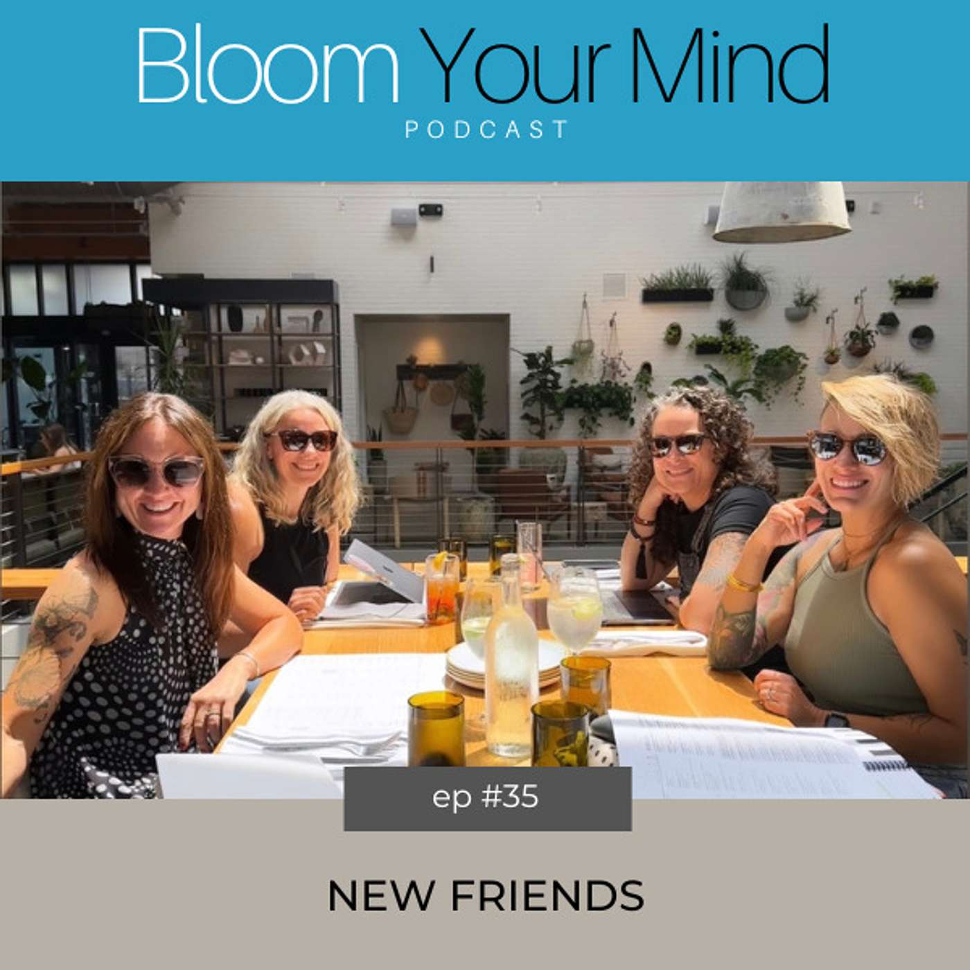 Ep 35: New Friends