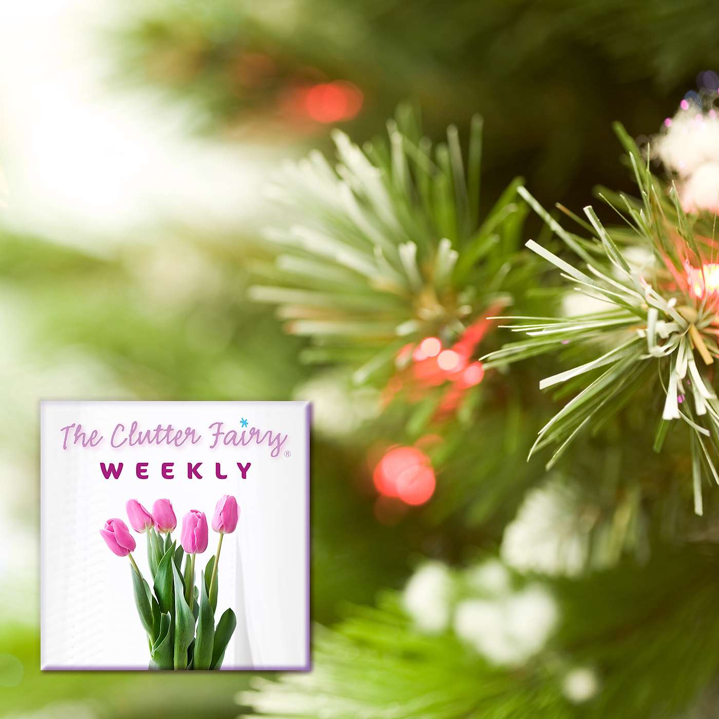 Season’s Greetings from Our Family to Yours - Happy 100th Episode! - The Clutter Fairy Weekly #100