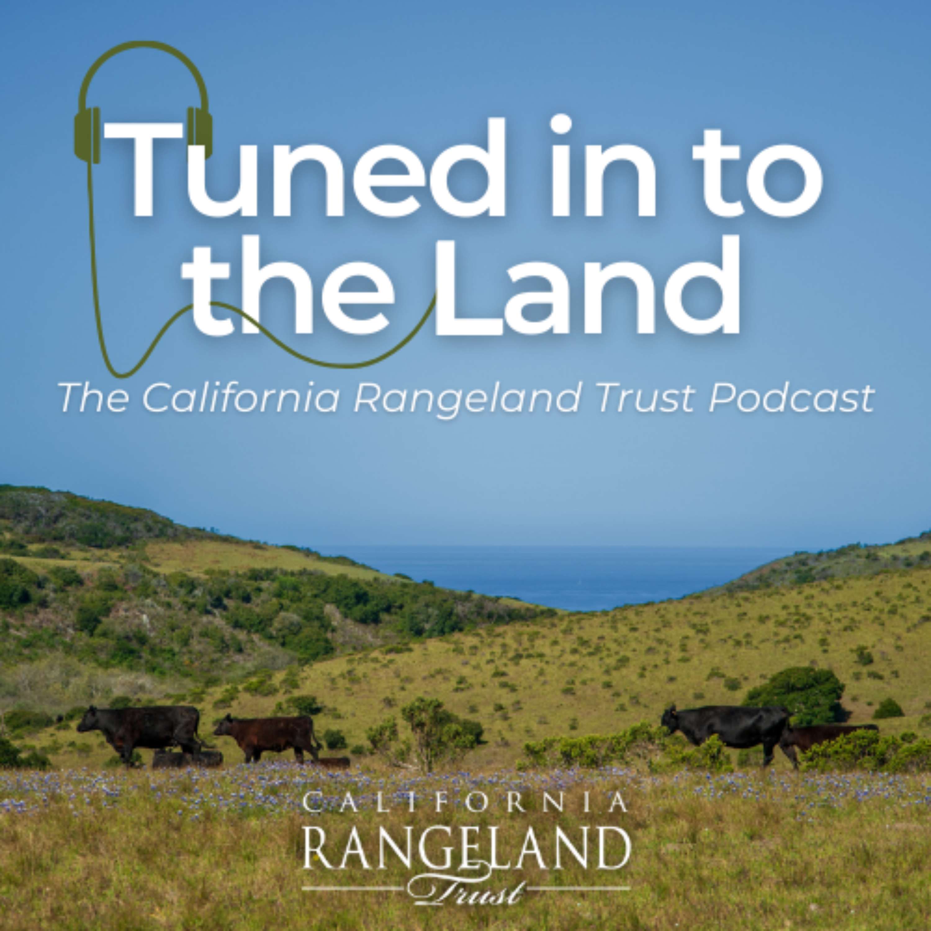 Tuned in to the Land 