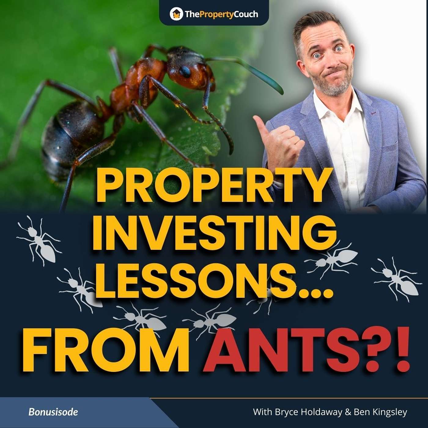 TPC Gold | What Ants Can Teach Us About Property Investing