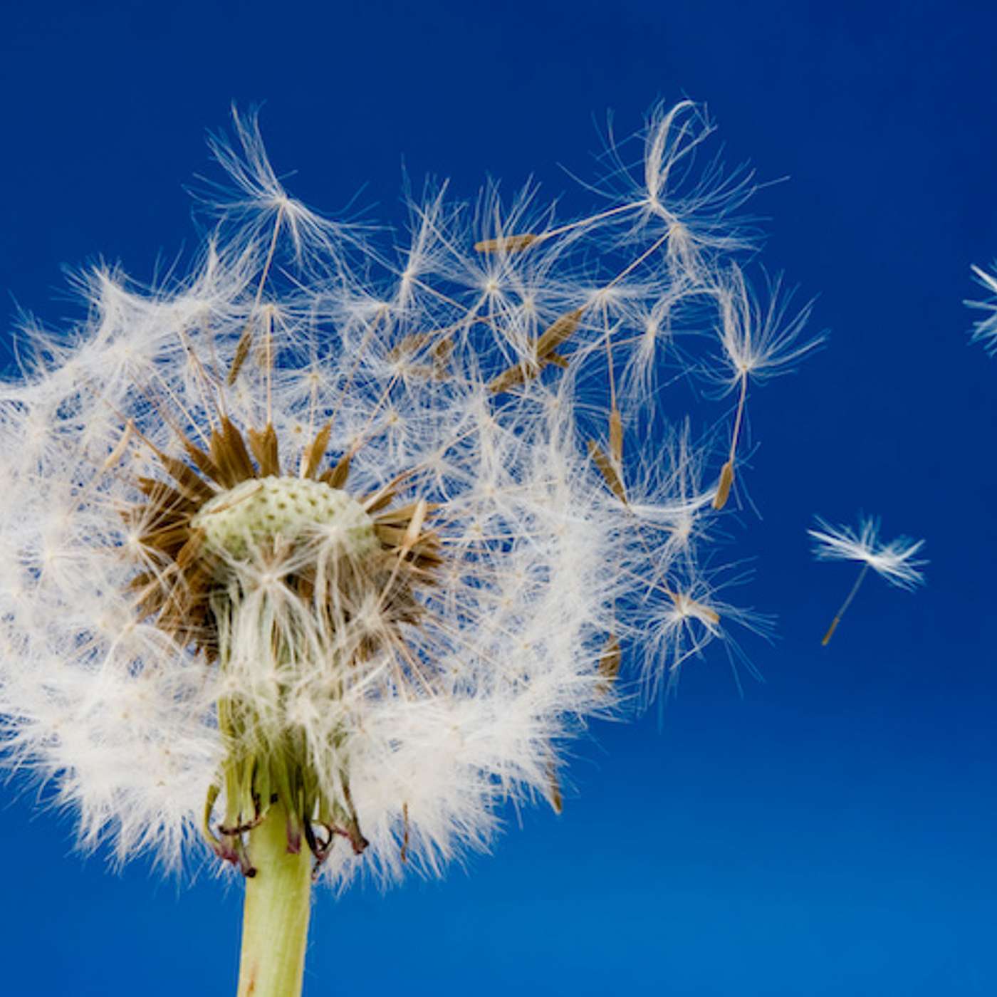 "God's Question for You" | Rev. Dr. Donovan Drake preaching | 06.22.25