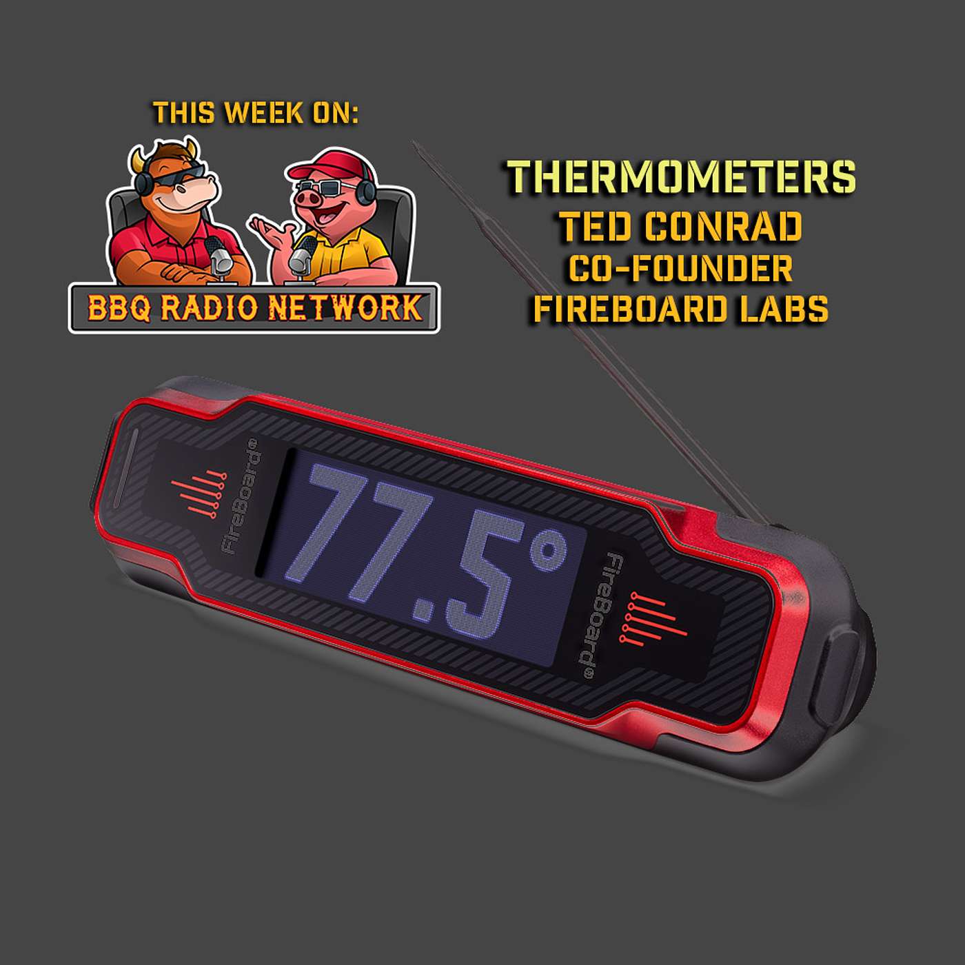 THERMOMETERS & WIN THE NEW FIREBOARD SPARK with TED CONRAD on BBQ RADIO NETWORK