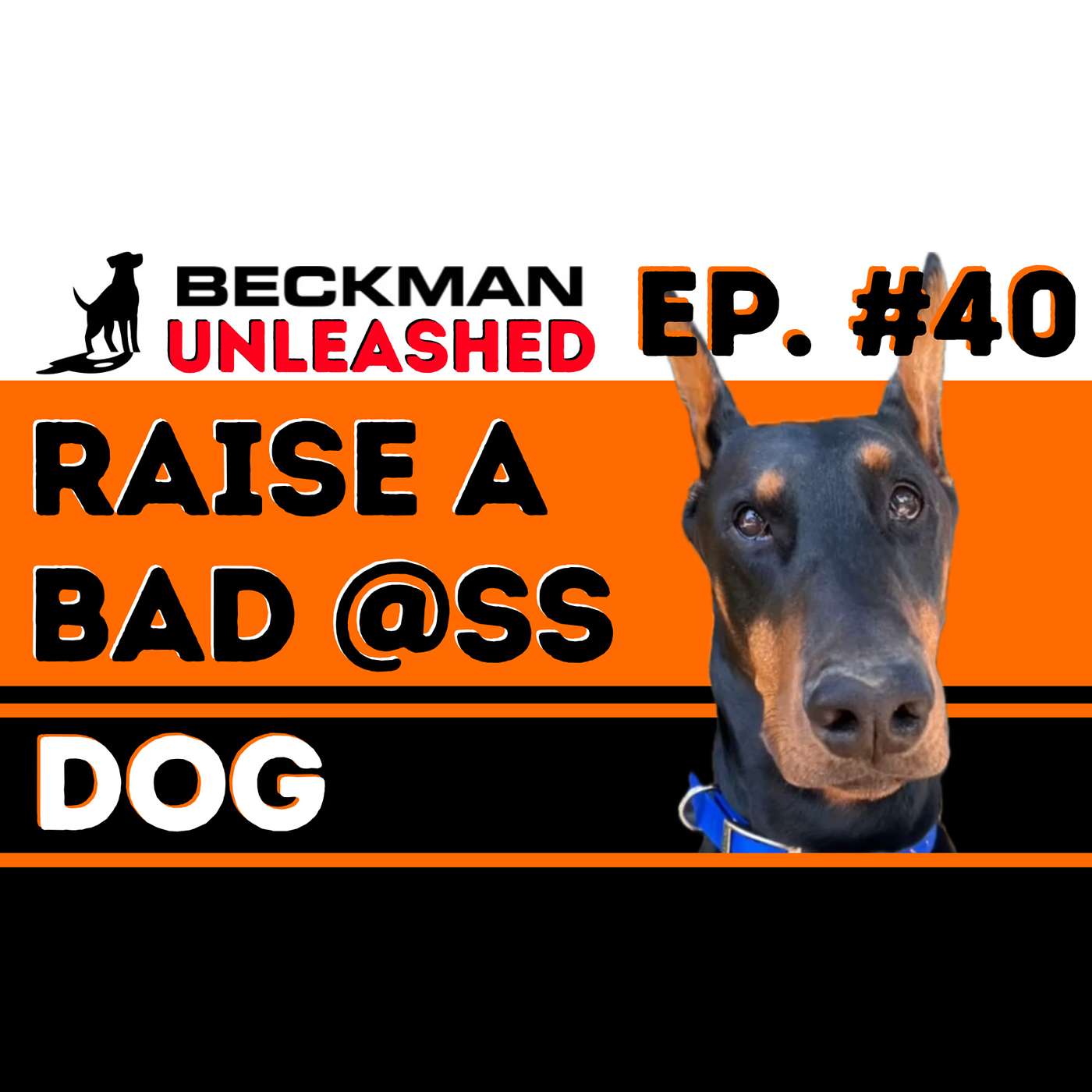 Ep. 40 - What you should do with your Dog from 8 weeks to 1.5 Years Old to have a Well-Balanced Dog