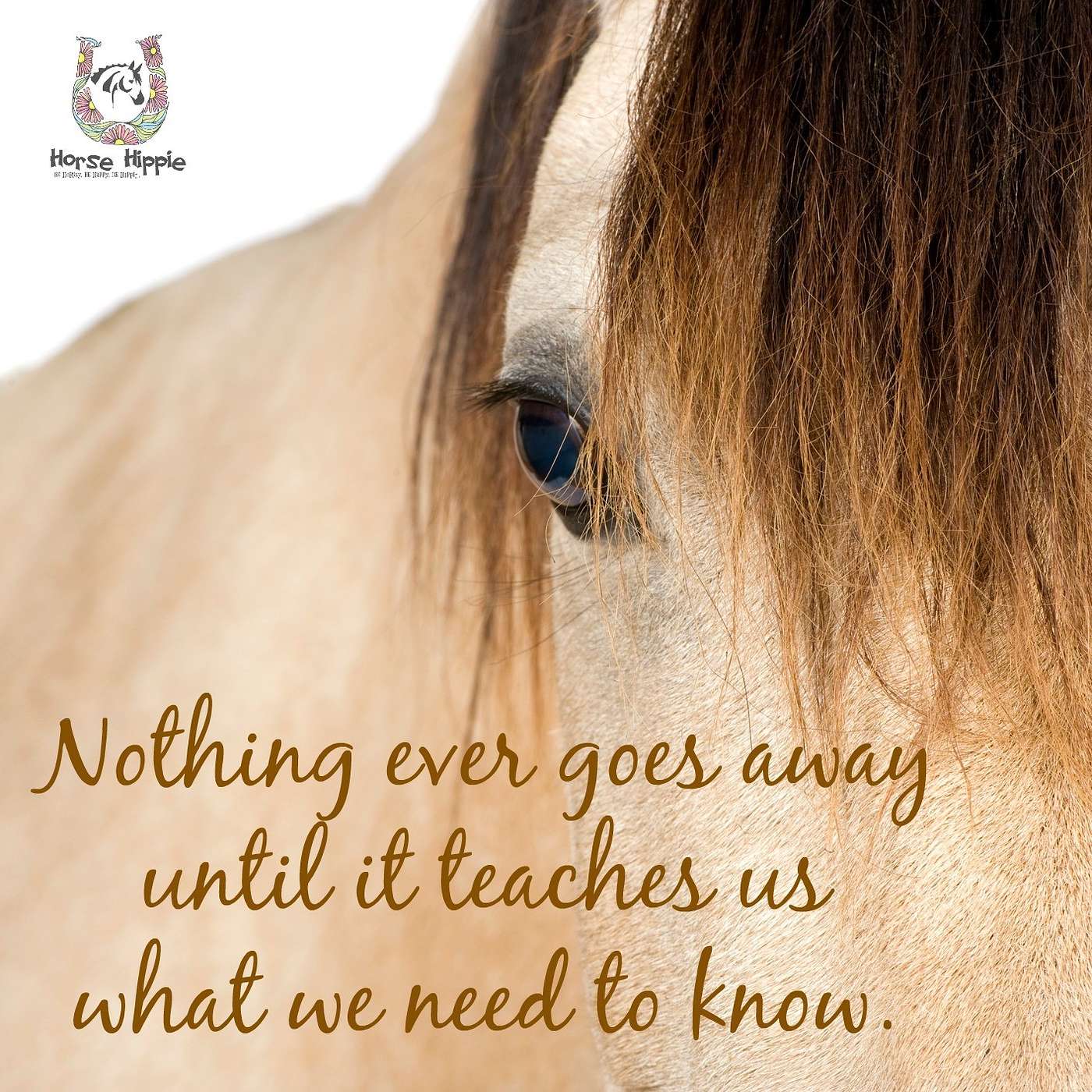 Some Things Must Be Experienced To Learn