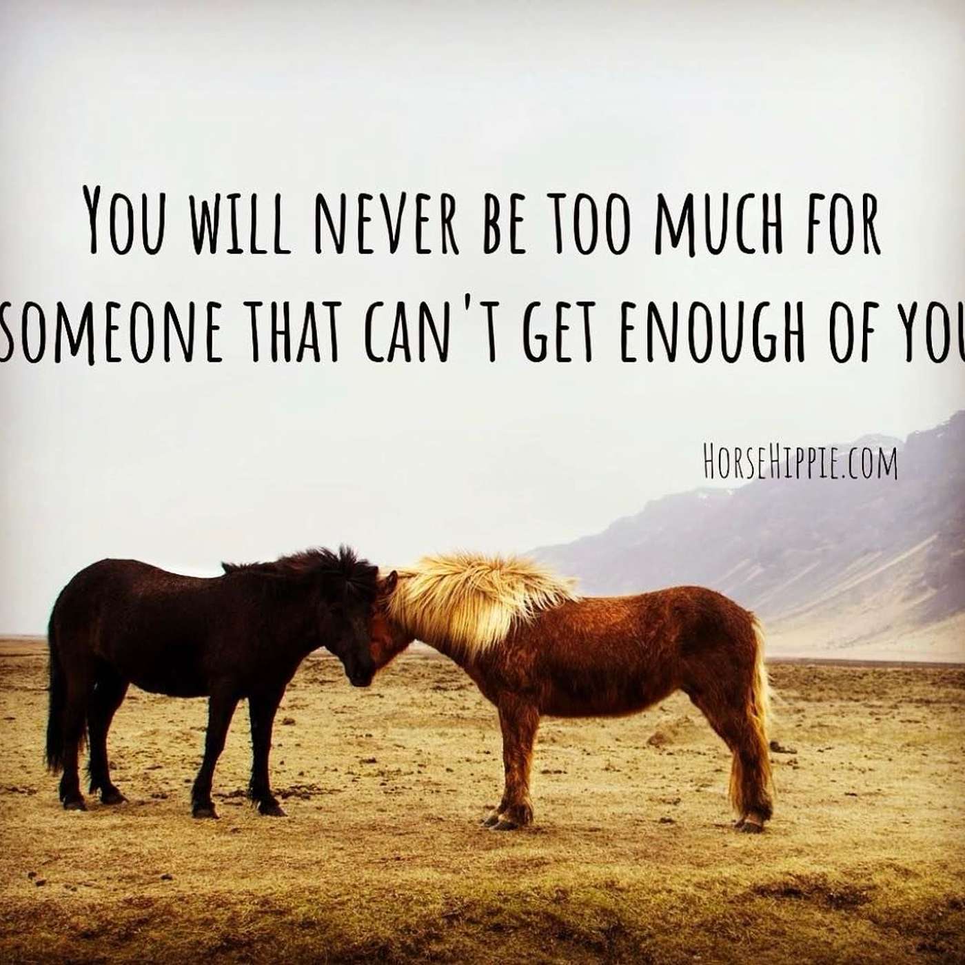 Don’t Tame Yourself