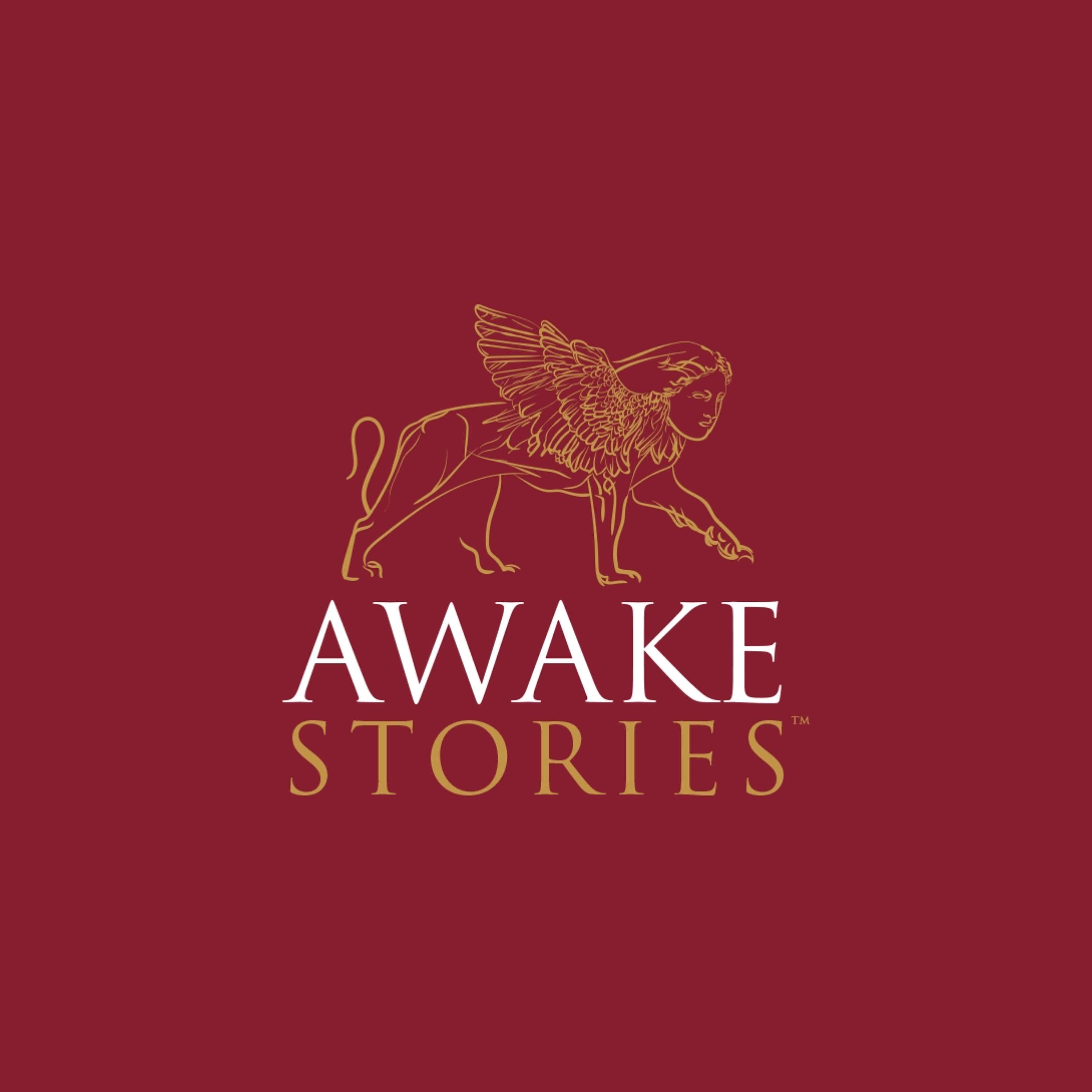 Awake Stories